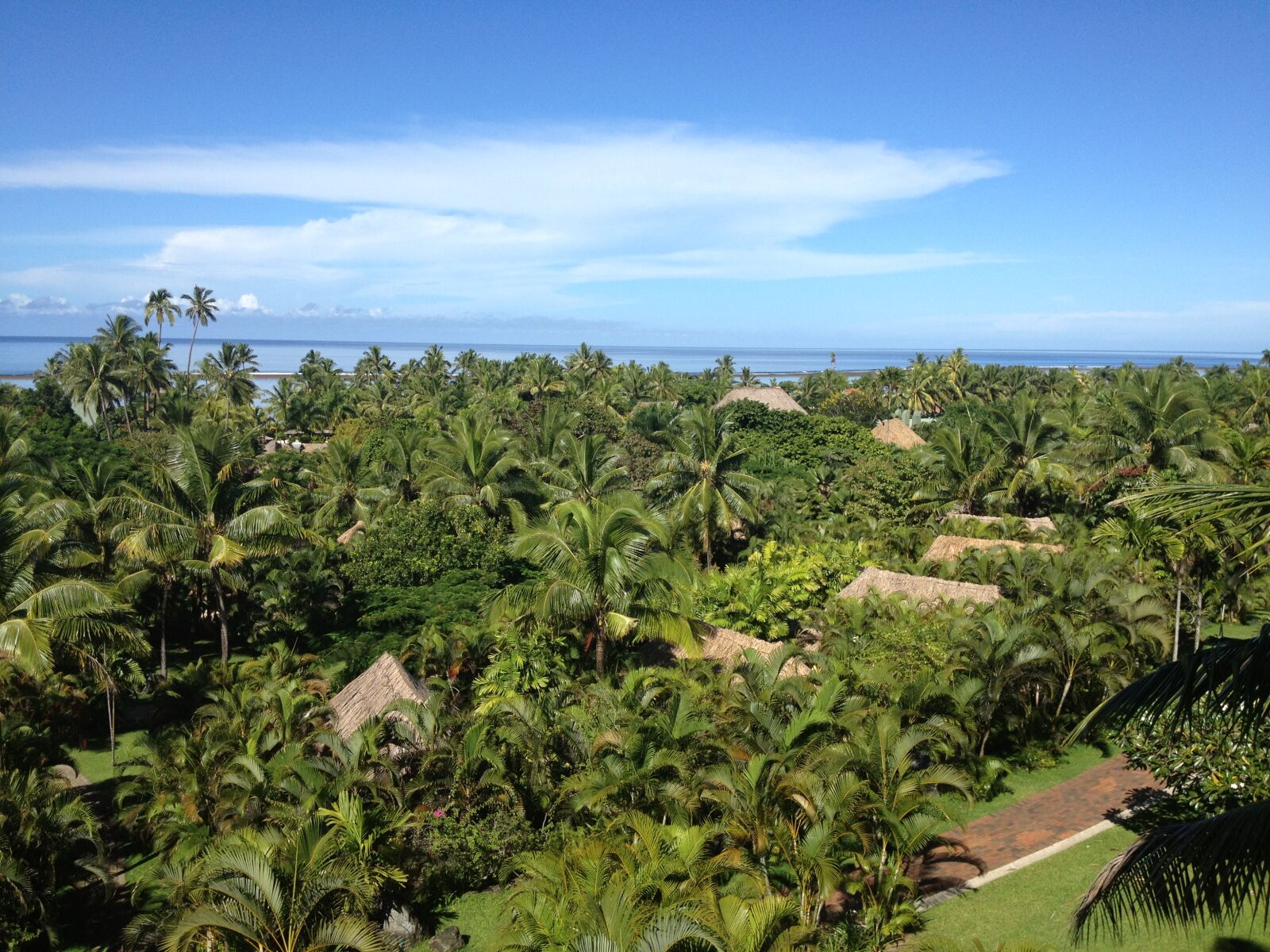 Apple iPhone 4S sample photo. Fiji, holiday, island, palm photography