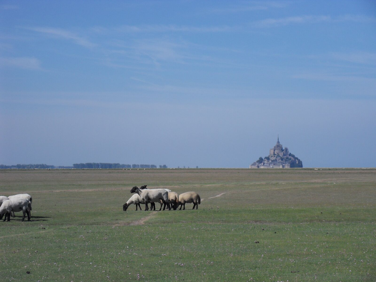 Samsung WB500, WB510 / VLUU WB500 /  HZ10W sample photo. St michael's mount, mont-saint-michel photography
