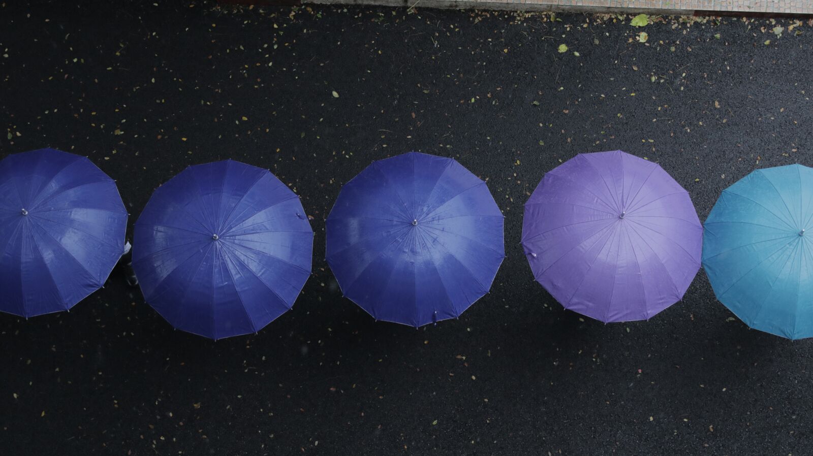 Canon EF-S 18-55mm F3.5-5.6 IS sample photo. Umbrella, rain, wet photography