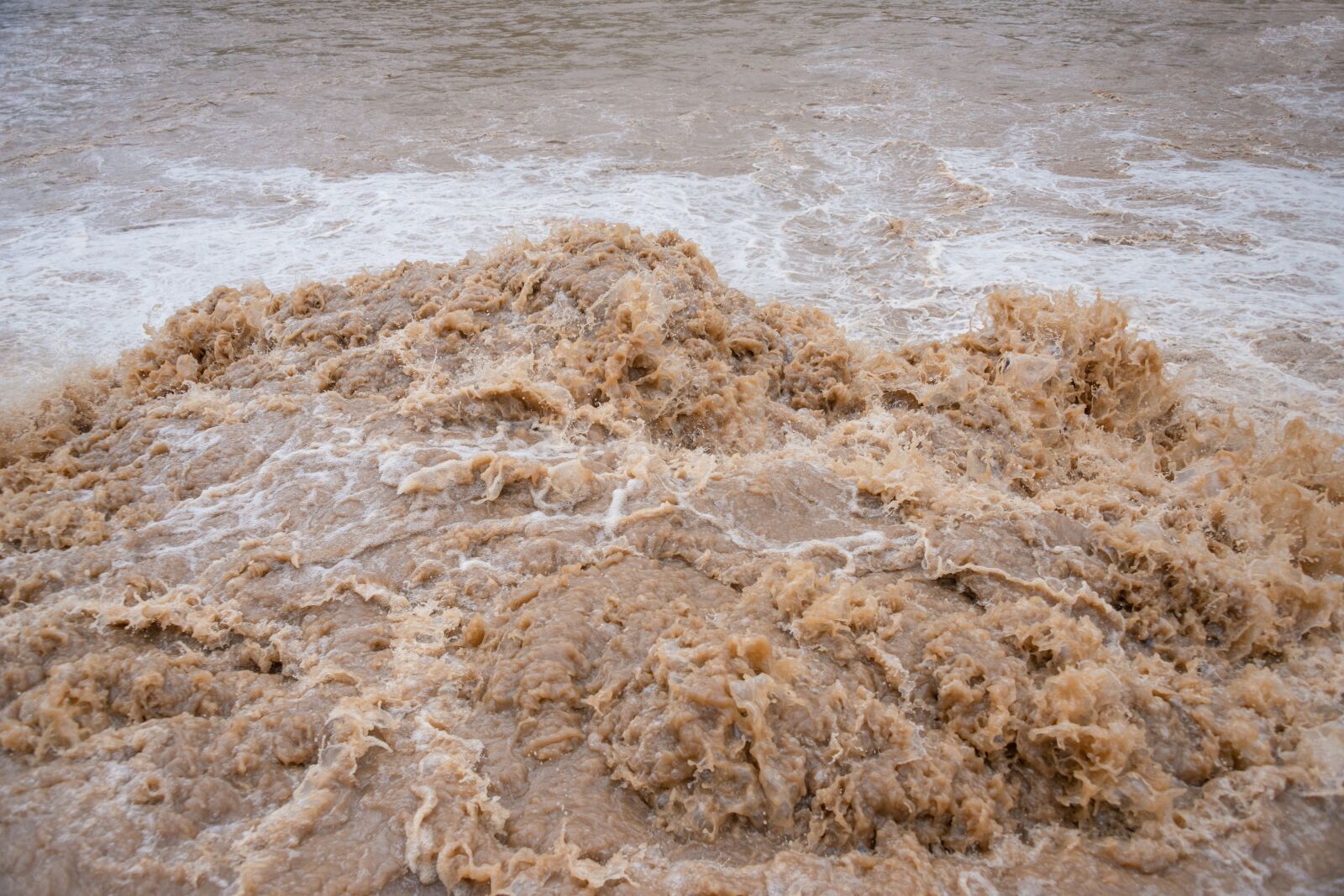 Nikon D800 sample photo. Water, muddy, nature photography