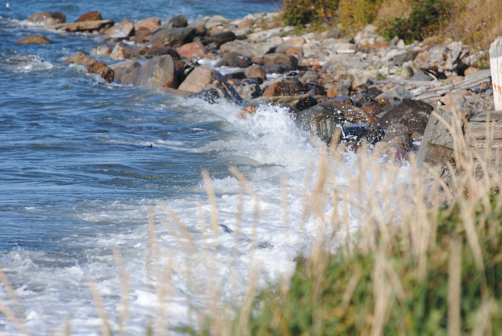 Nikon D3000 sample photo. Shore, sea, side photography
