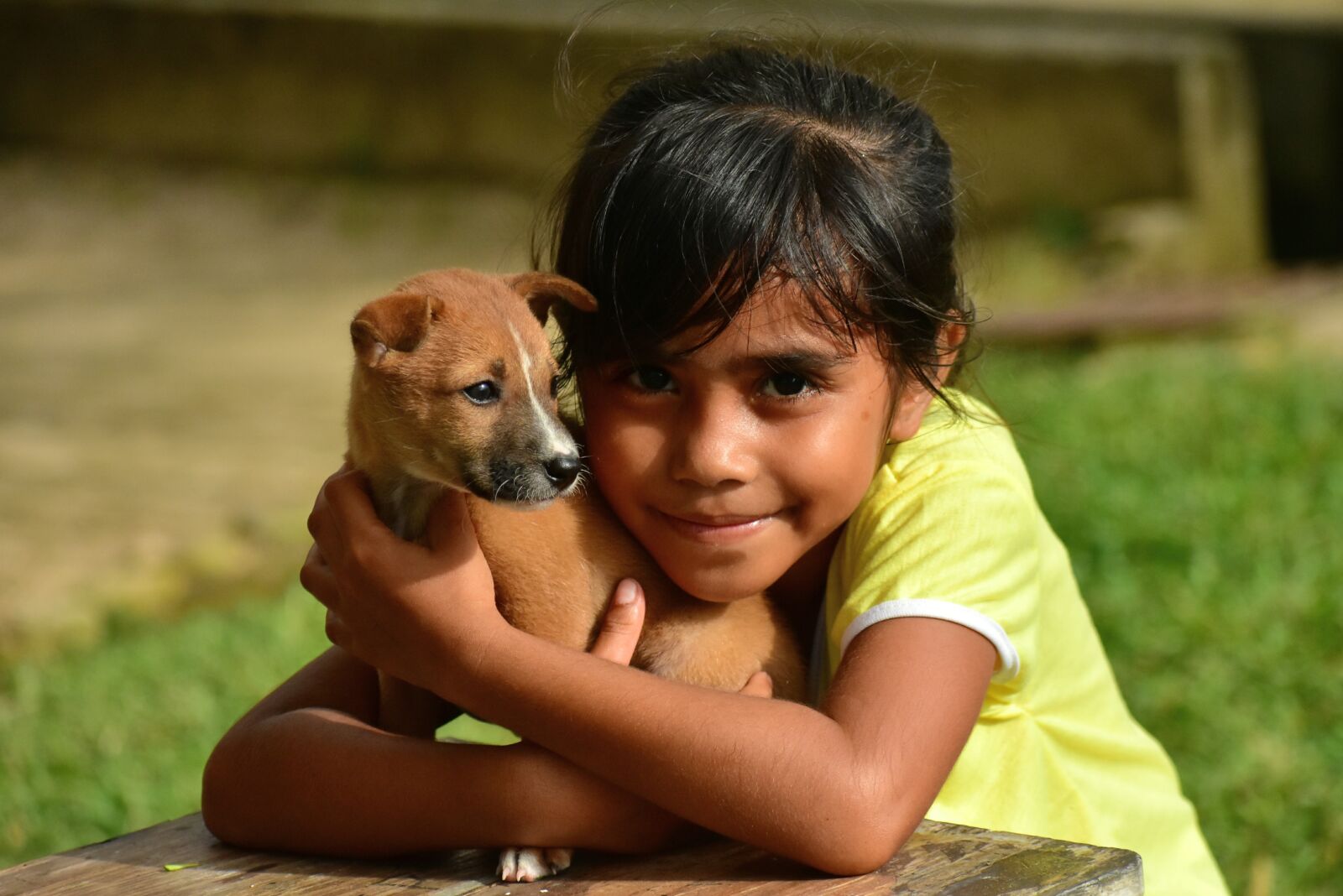 Nikon D3400 sample photo. Puppy, dog, little girl photography