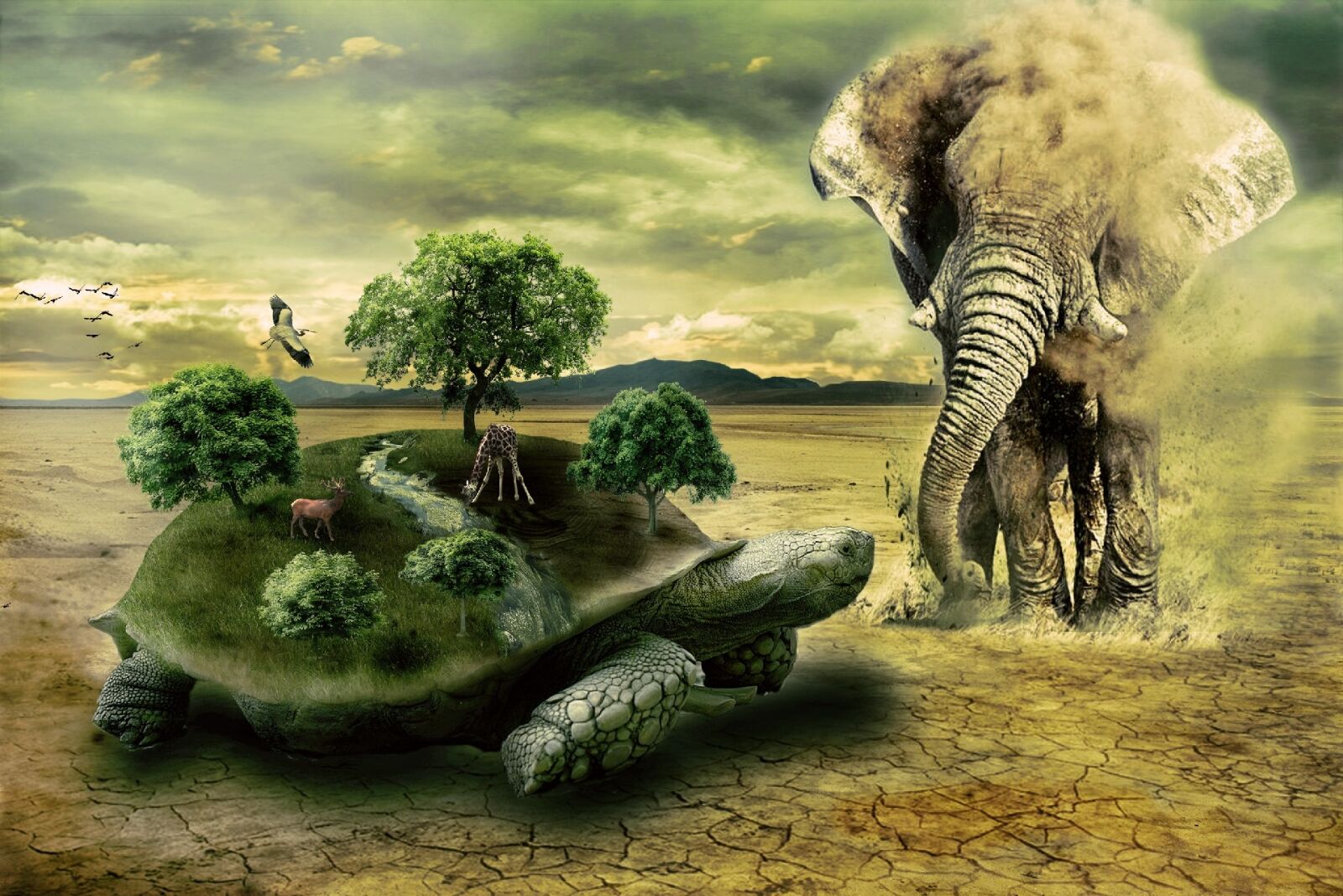Canon EOS 40D sample photo. Turtle, elephant, animal photography