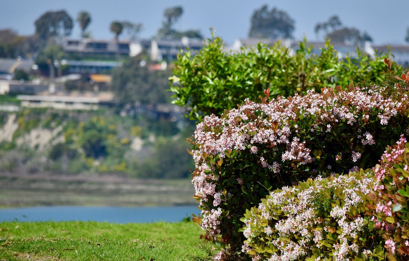 Nikon D3300 sample photo. View, water, california photography