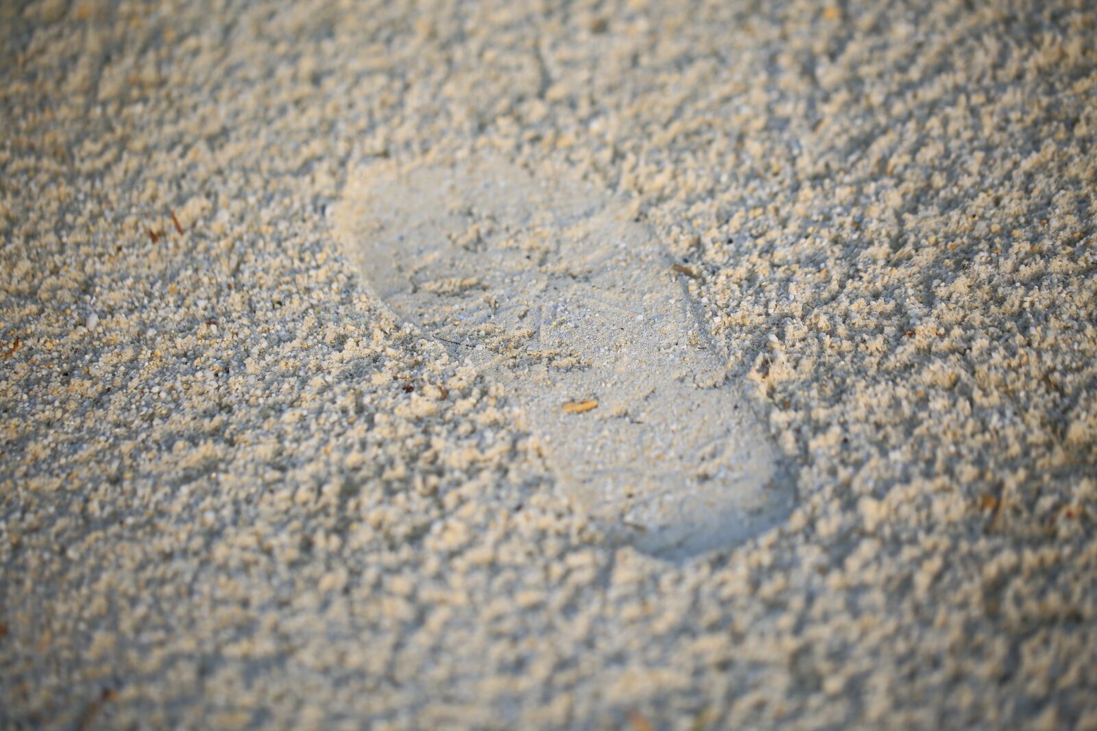 Canon EF 100mm F2.8L Macro IS USM sample photo. Footprint, sand, traces photography
