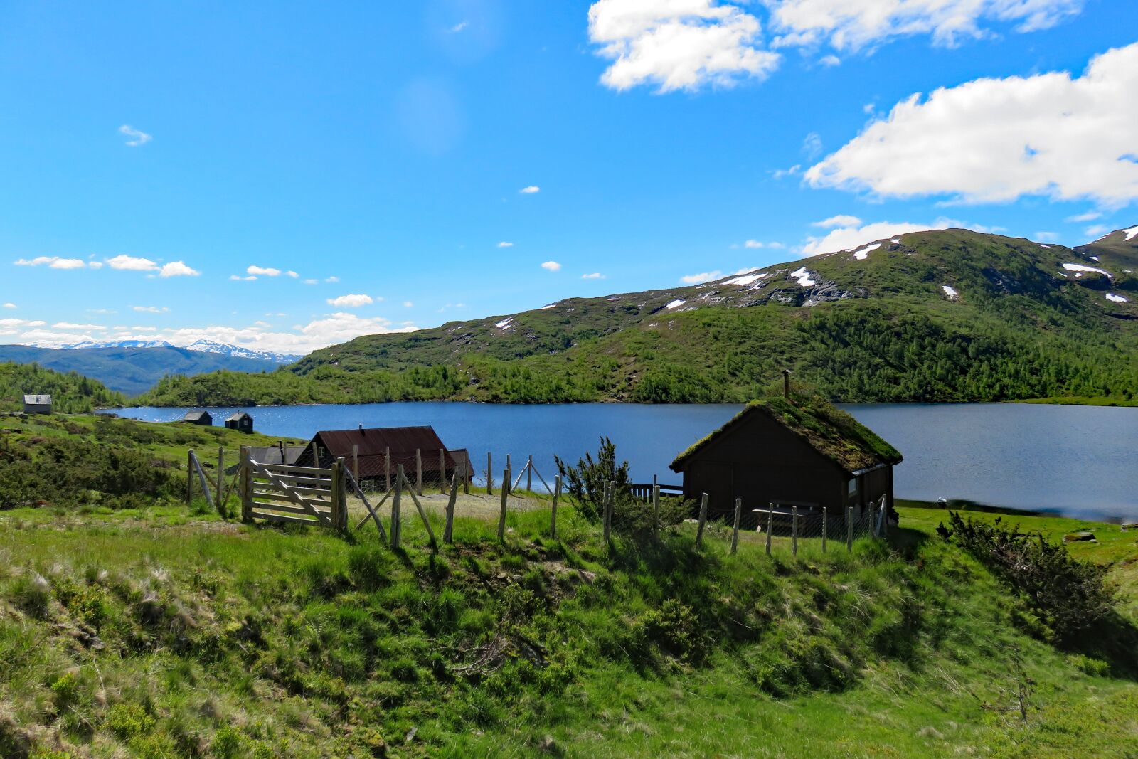Canon PowerShot SX710 HS sample photo. Norge, at the lake photography