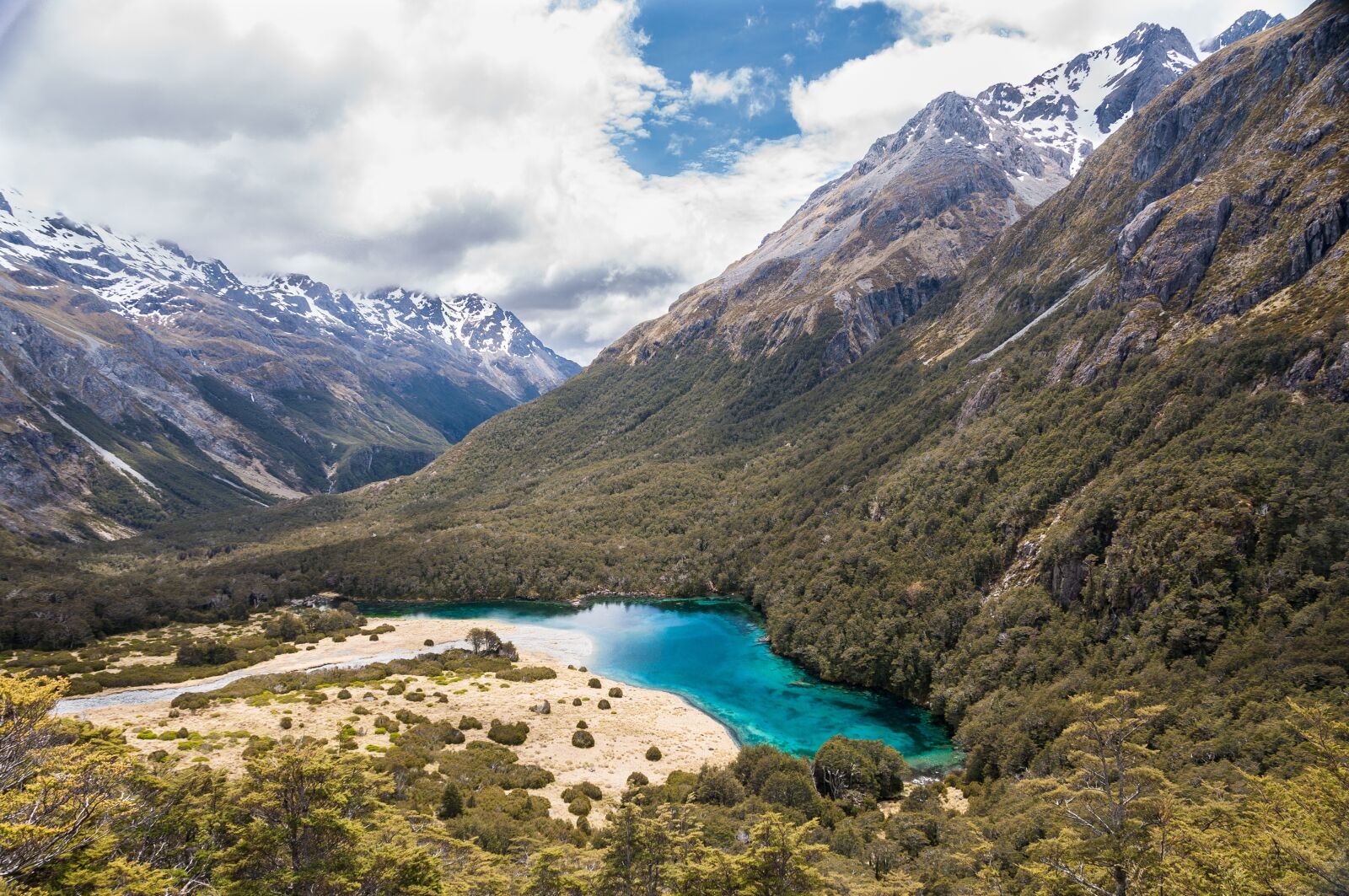 Nikon D90 sample photo. New zealand, nelson lakes photography