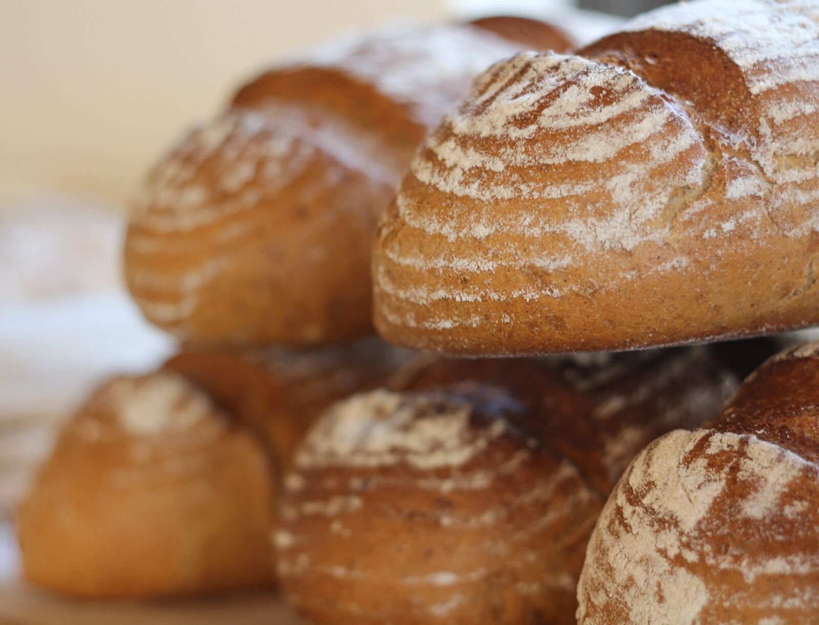 Canon EOS 1100D (EOS Rebel T3 / EOS Kiss X50) + Canon EF 50mm F1.8 II sample photo. Food, bread, rye photography