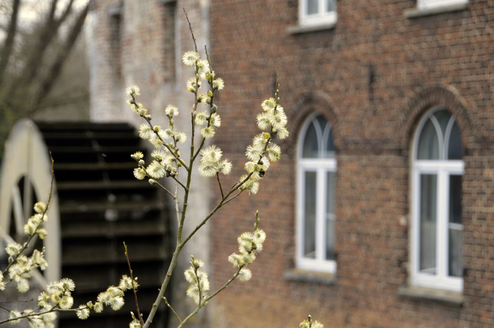 Nikon D3200 sample photo. House, window, architecture photography