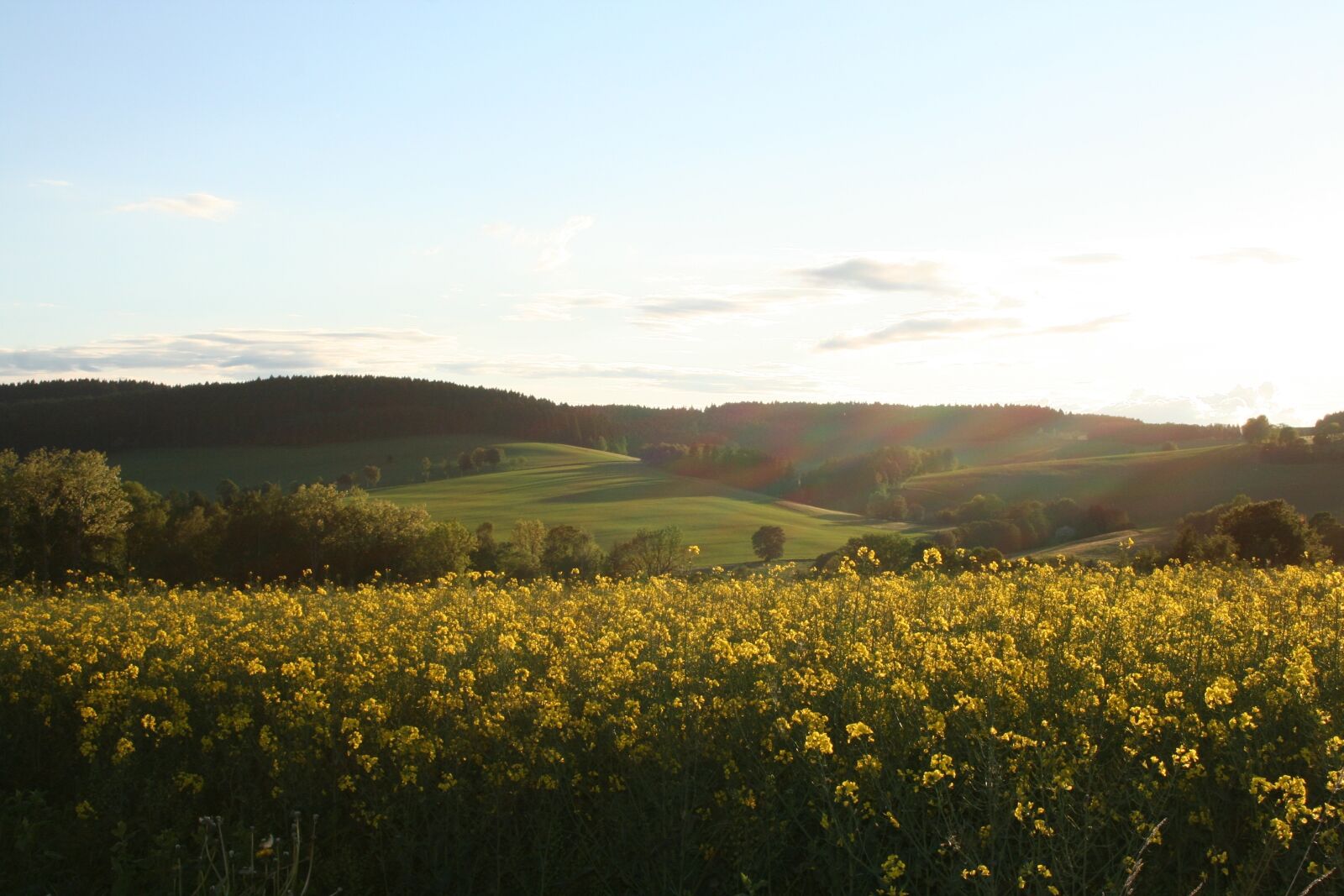 Canon EOS 350D (EOS Digital Rebel XT / EOS Kiss Digital N) sample photo. Ore mountains, nature, landscape photography