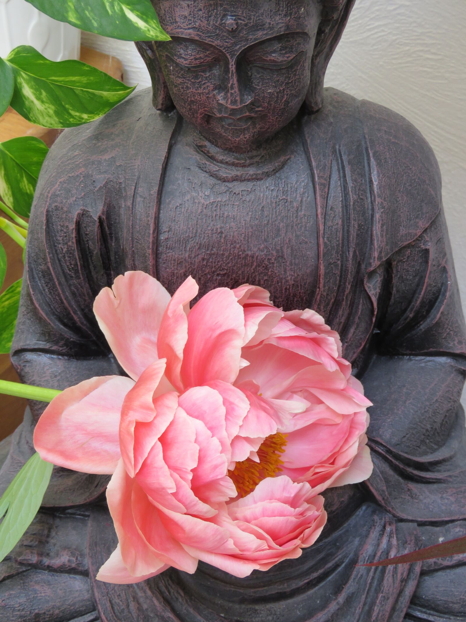 Canon PowerShot SX60 HS sample photo. Buddha, zen, flower photography