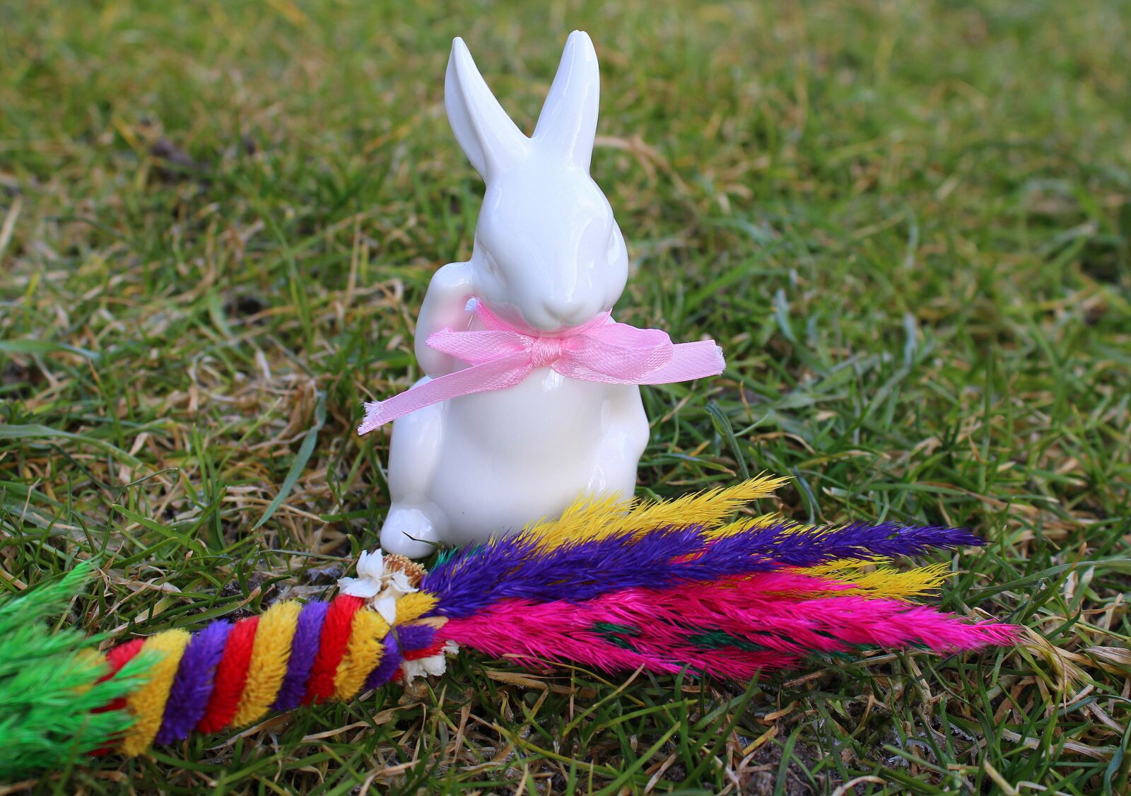 Canon EOS 1200D (EOS Rebel T5 / EOS Kiss X70 / EOS Hi) sample photo. Hare, easter palm, the photography