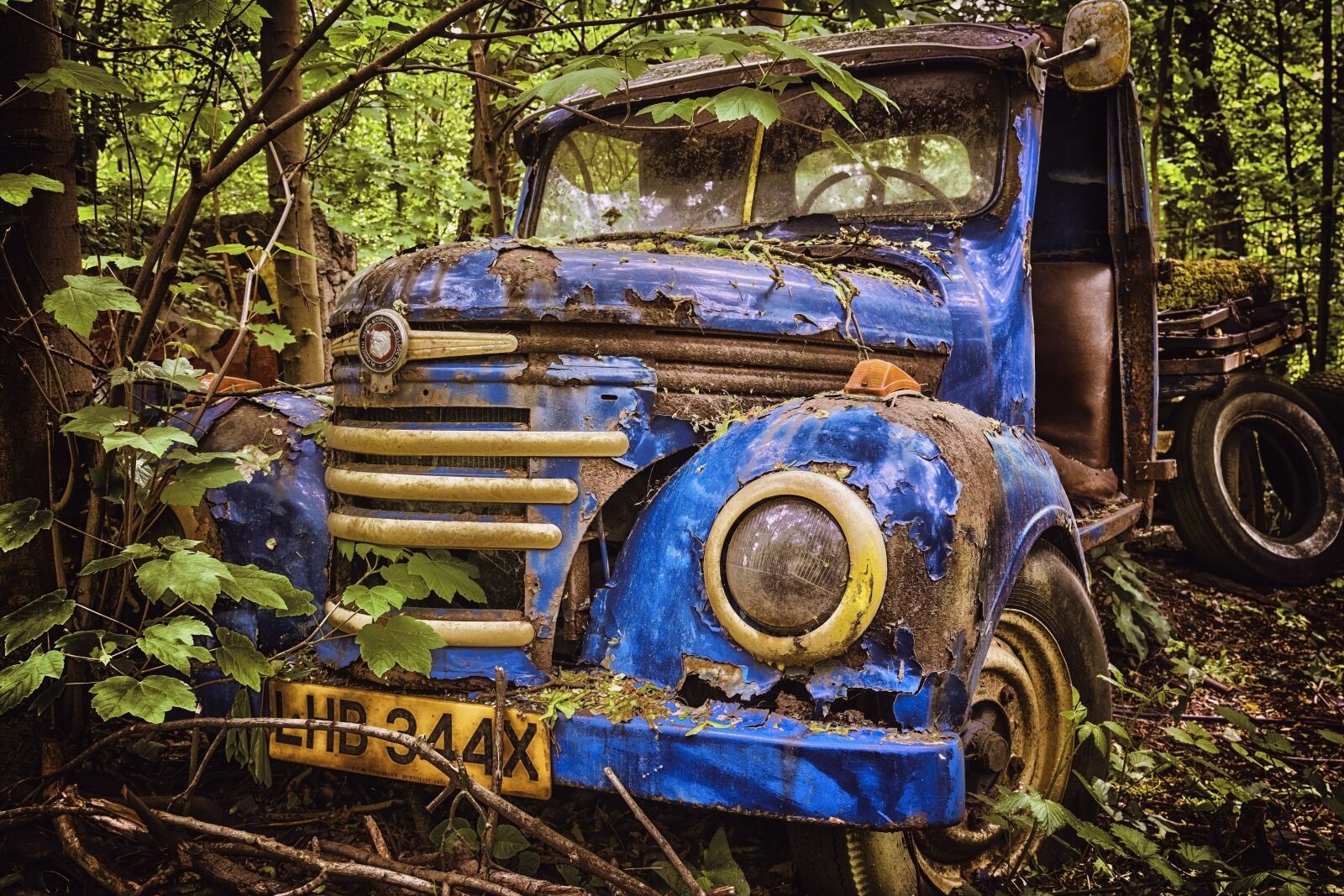 Nikon D3300 sample photo. Auto, wreck, rusted photography