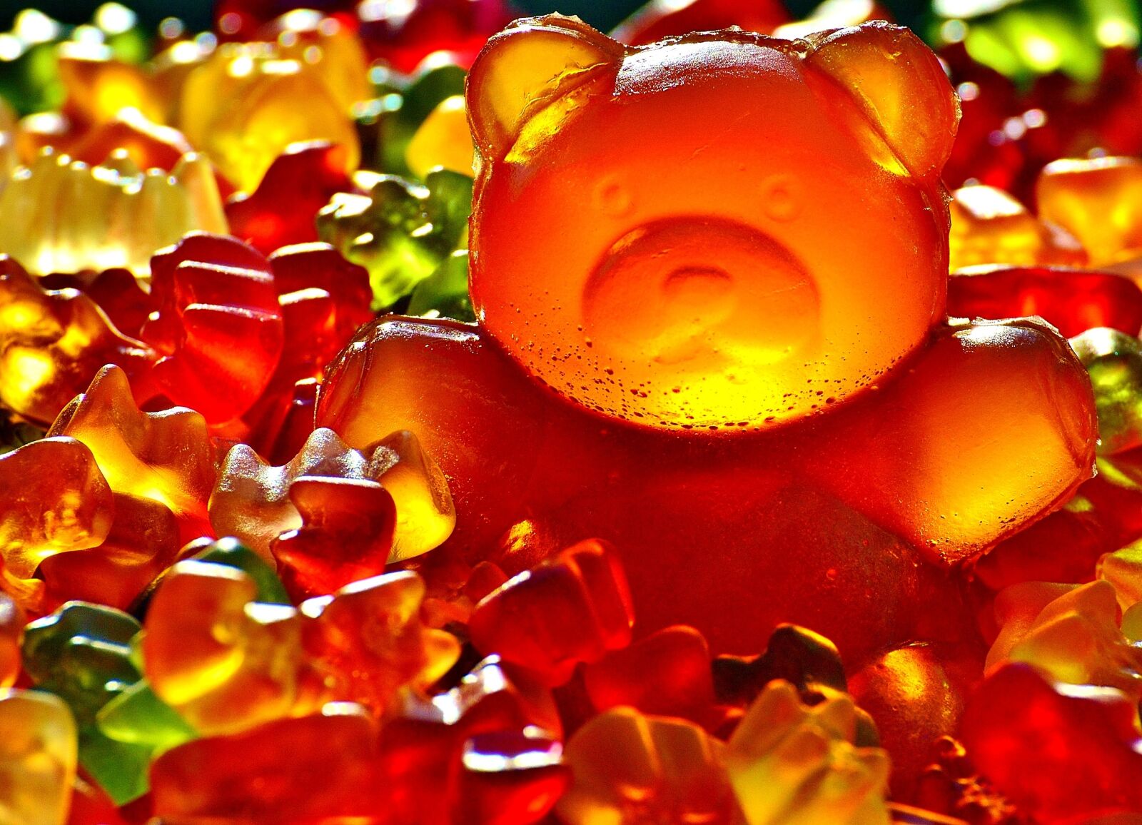 Nikon D3200 sample photo. Gummib rchen, giant rubber photography