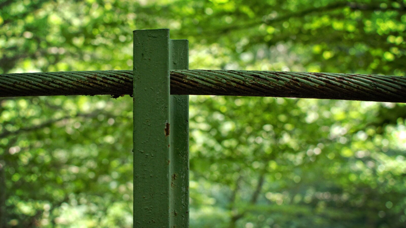 Nikon D7100 sample photo. Demarcation, steel cable, dew photography