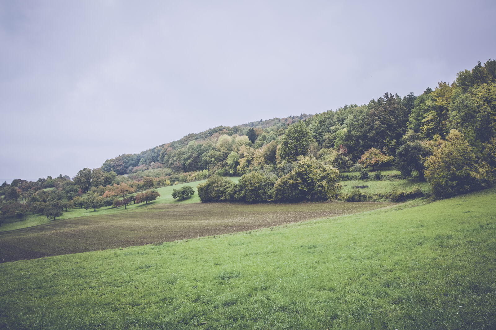 Canon EF 24-70mm F2.8L II USM sample photo. Landscape, nature, sky, field photography