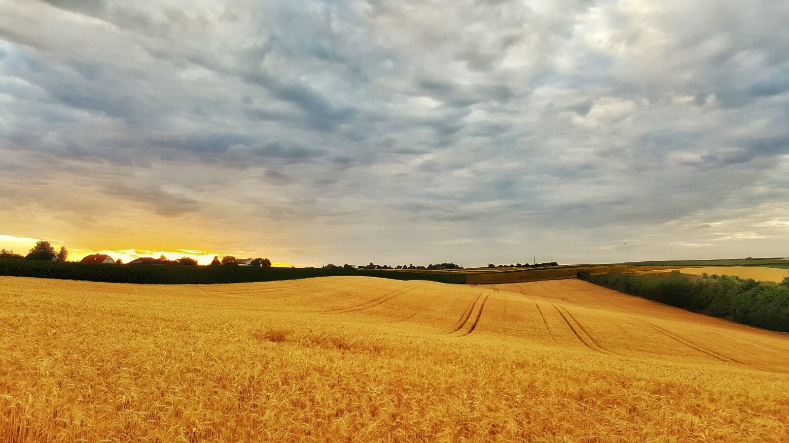 Samsung Galaxy S6 sample photo. Clouds, field, nature photography