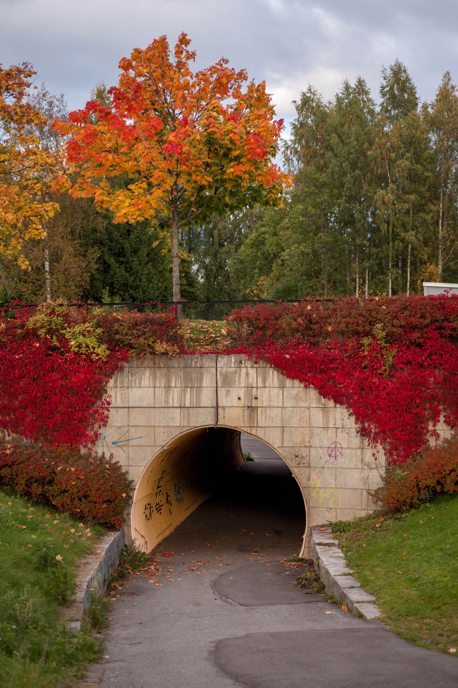 Canon EOS 5D Mark II sample photo. Autumn, fall, nature photography
