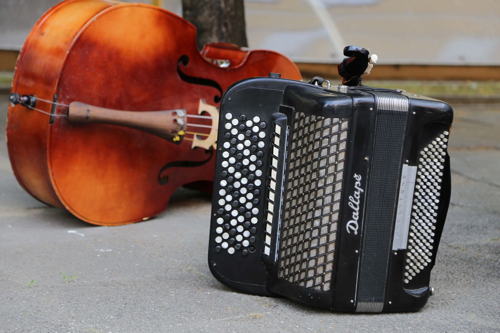 Canon EF 24-105mm F4L IS USM sample photo. Folk, nostalgia, music, instrument photography