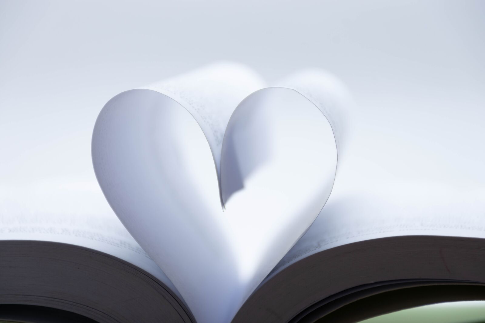 Nikon D7200 sample photo. Book, love, heart photography