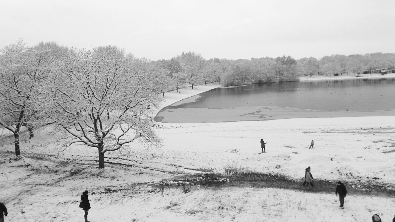 LG Nexus 5 sample photo. Forest, lake, snow, trees photography
