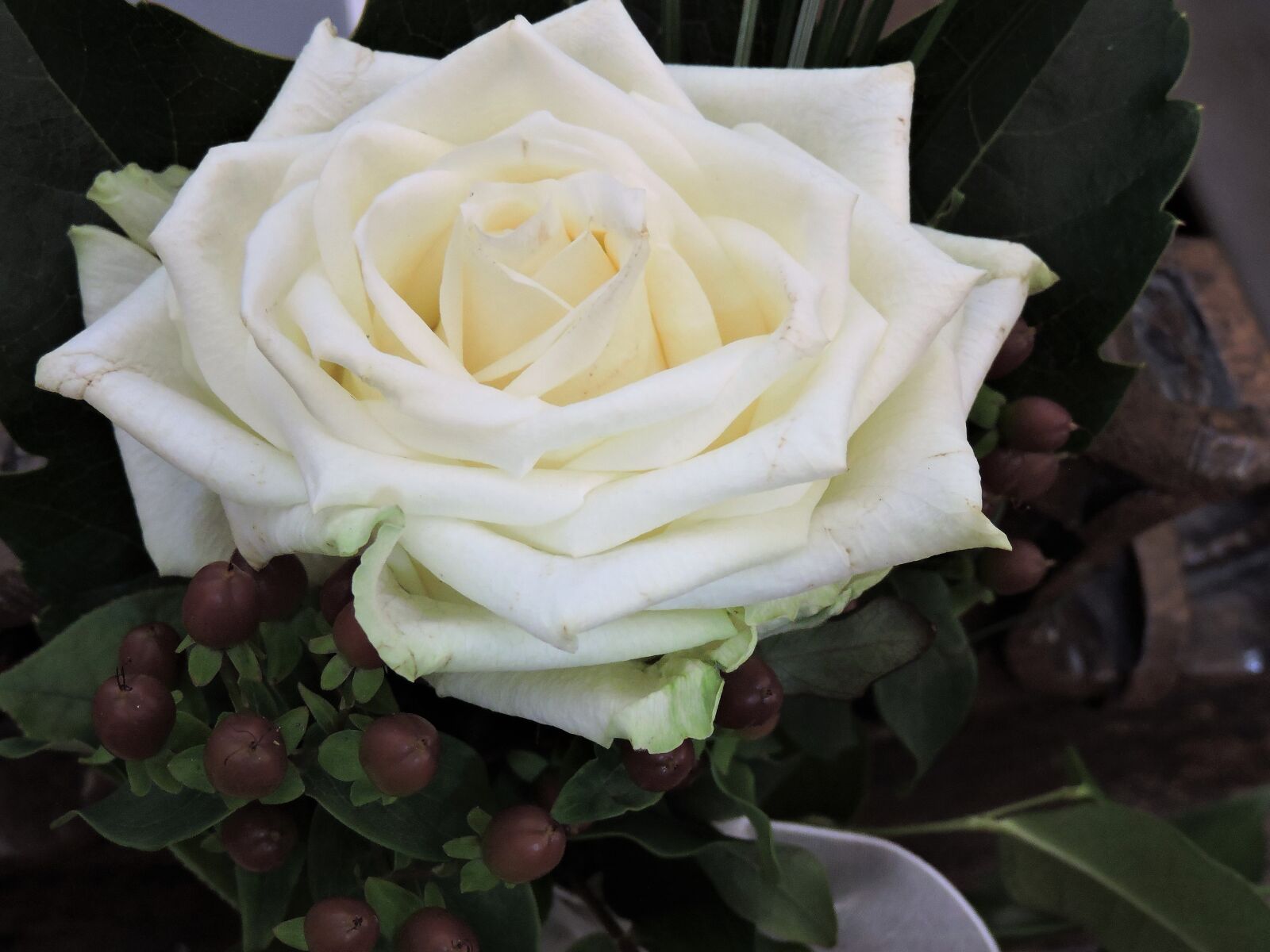 Nikon Coolpix P530 sample photo. Rose, white, wedding photography