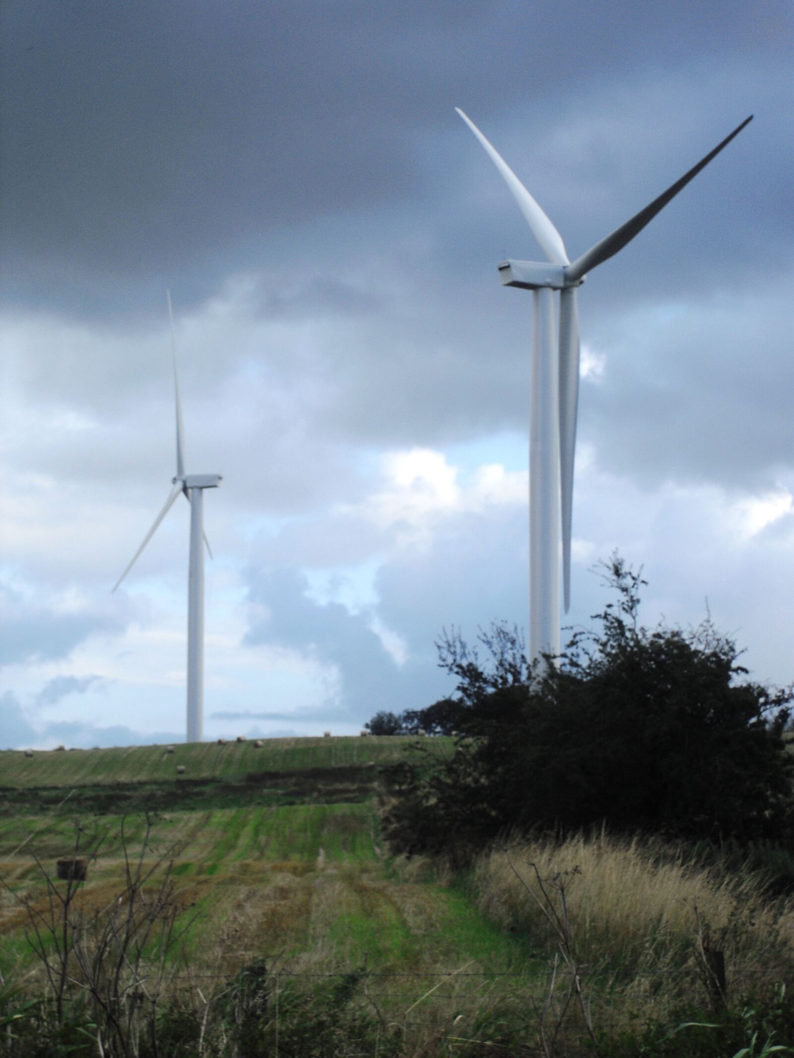 Casio Exilim EX-Z33 sample photo. Wind farm, wind turbines photography