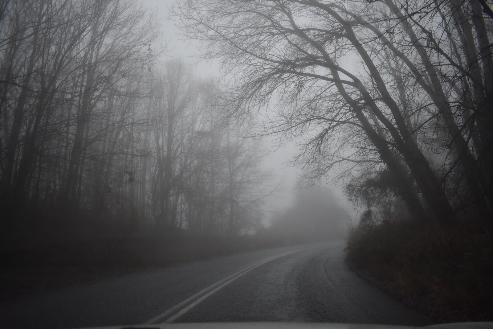 Nikon D3400 sample photo. Trees, forest, nature photography