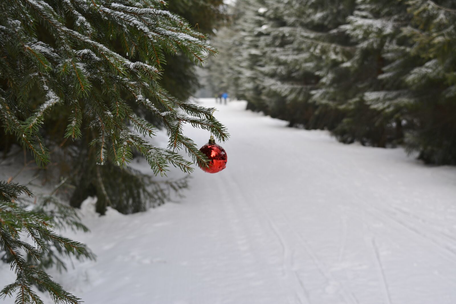 Nikon D5200 sample photo. Winter, christmas, snow photography