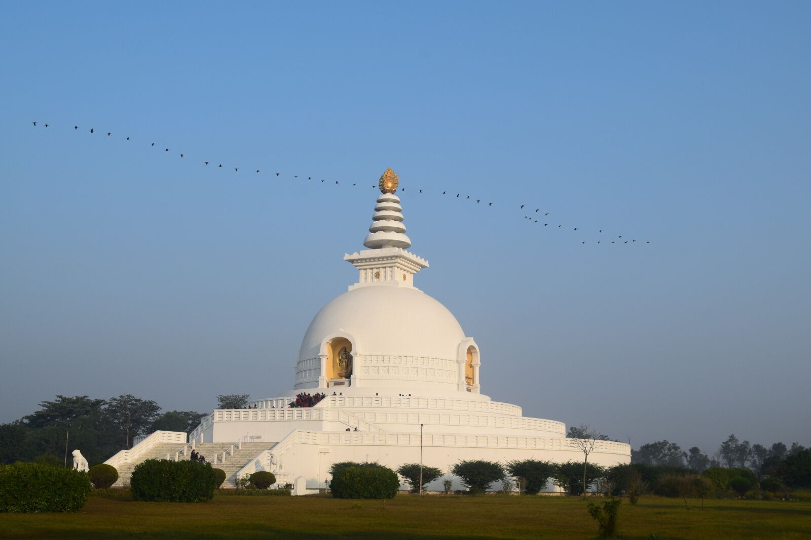 Nikon D3300 sample photo. Stupa, bouddha, birds photography