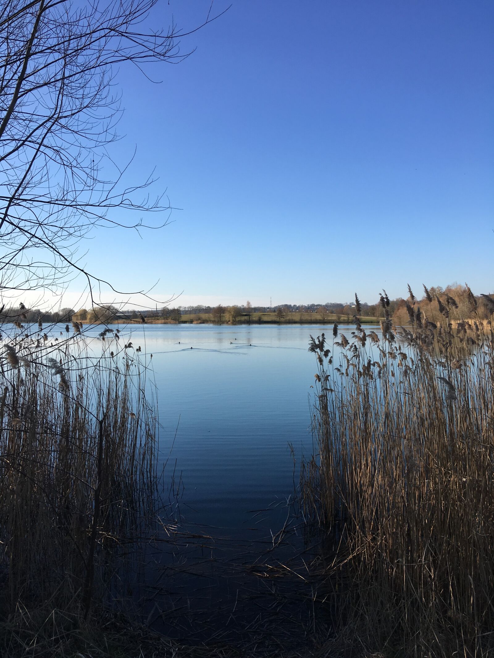 iPhone SE back camera 4.15mm f/2.2 sample photo. Lake, blue, water photography