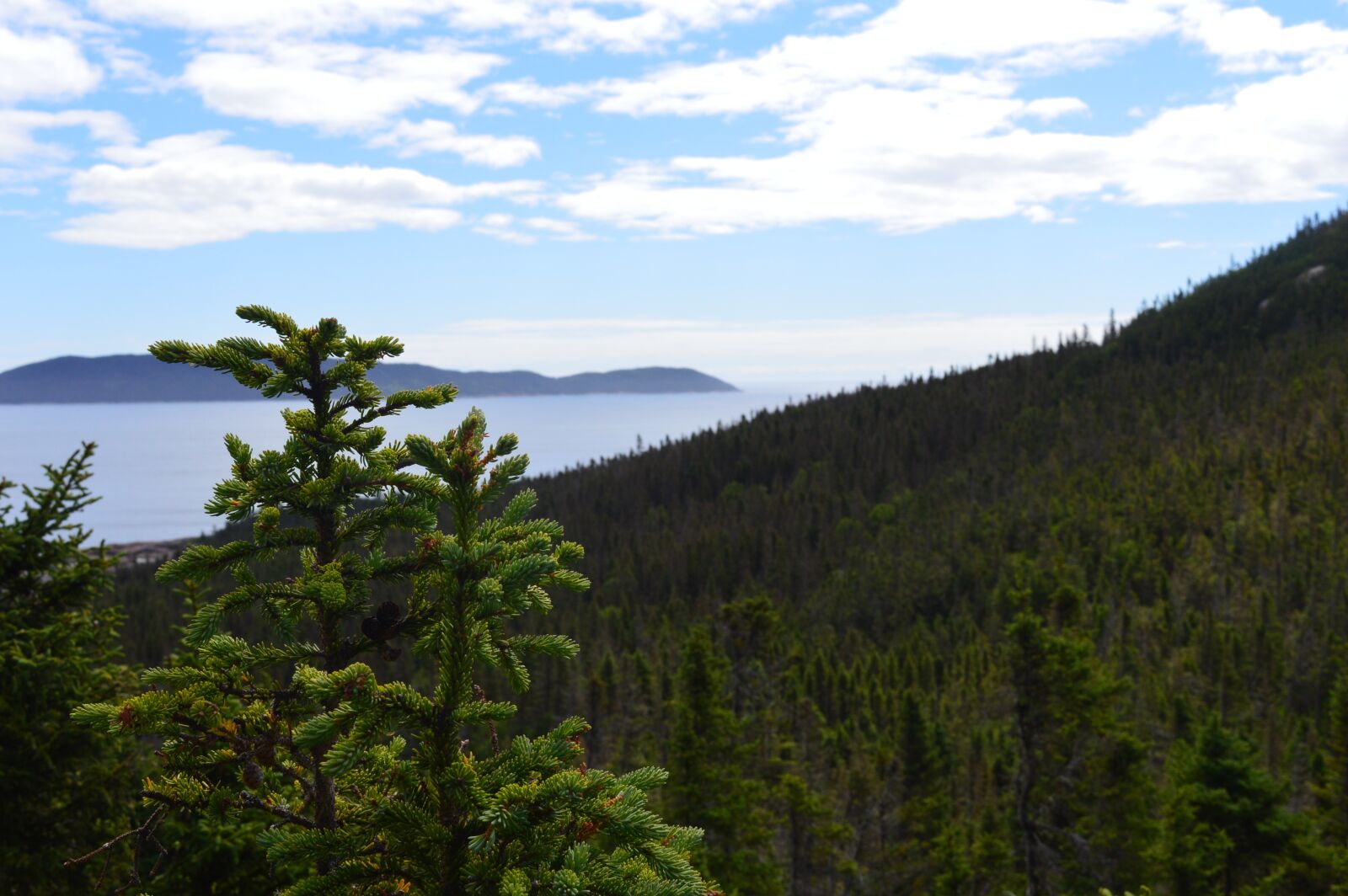 Nikon D3200 sample photo. Gulf, island, mountain photography