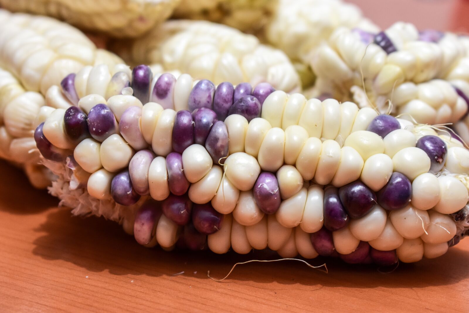 Nikon D3400 sample photo. Corn, cob, agriculture photography