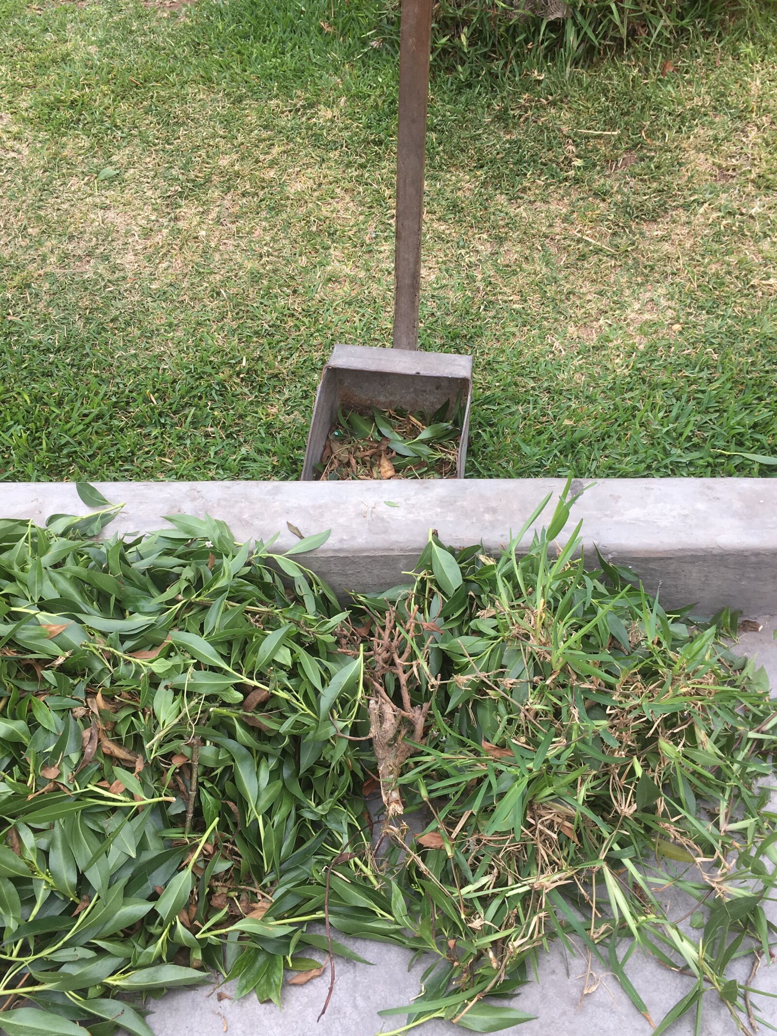 iPhone SE back camera 4.15mm f/2.2 sample photo. Street, park, urban photography