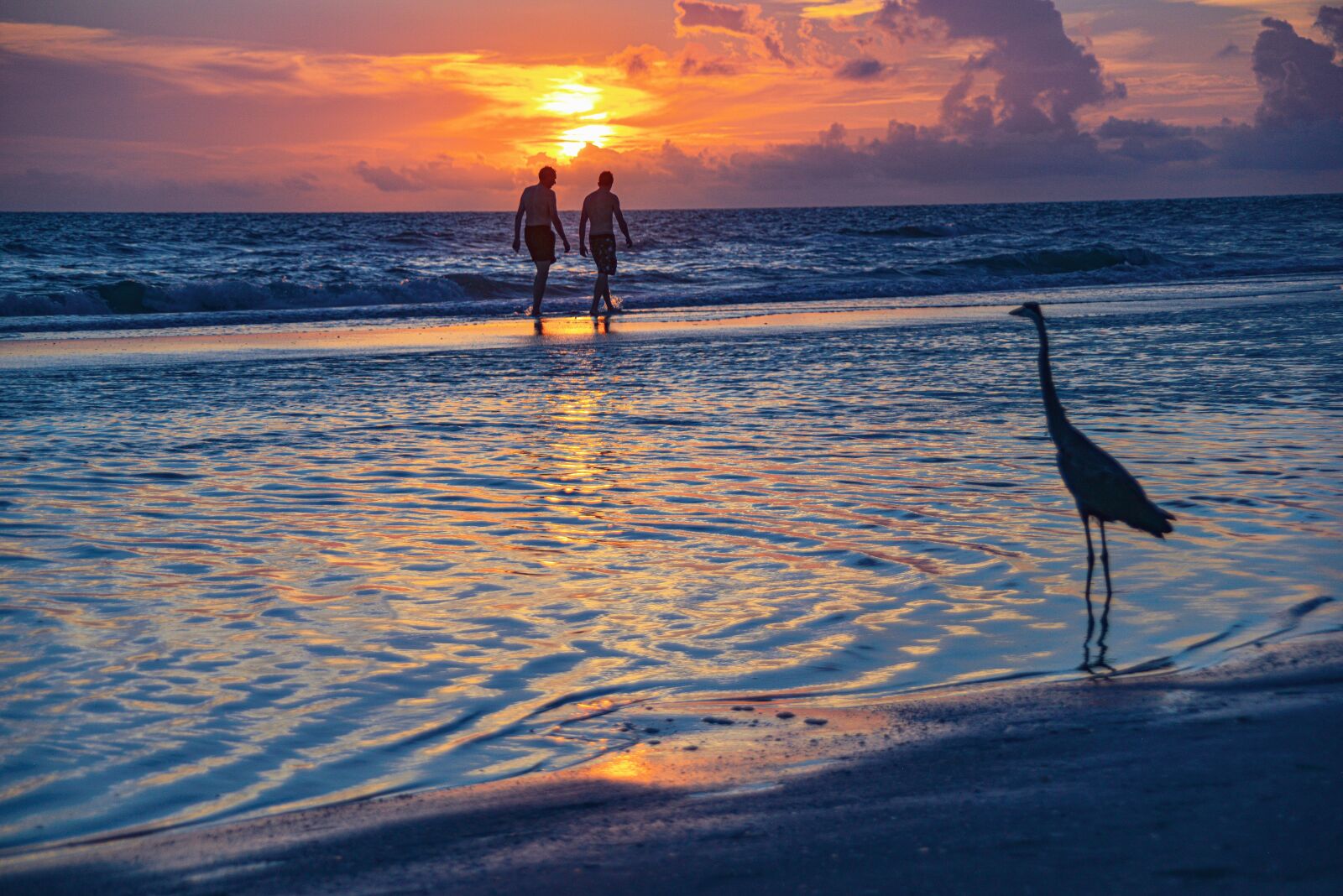 Nikon D800 sample photo. Sunset, beach, water photography