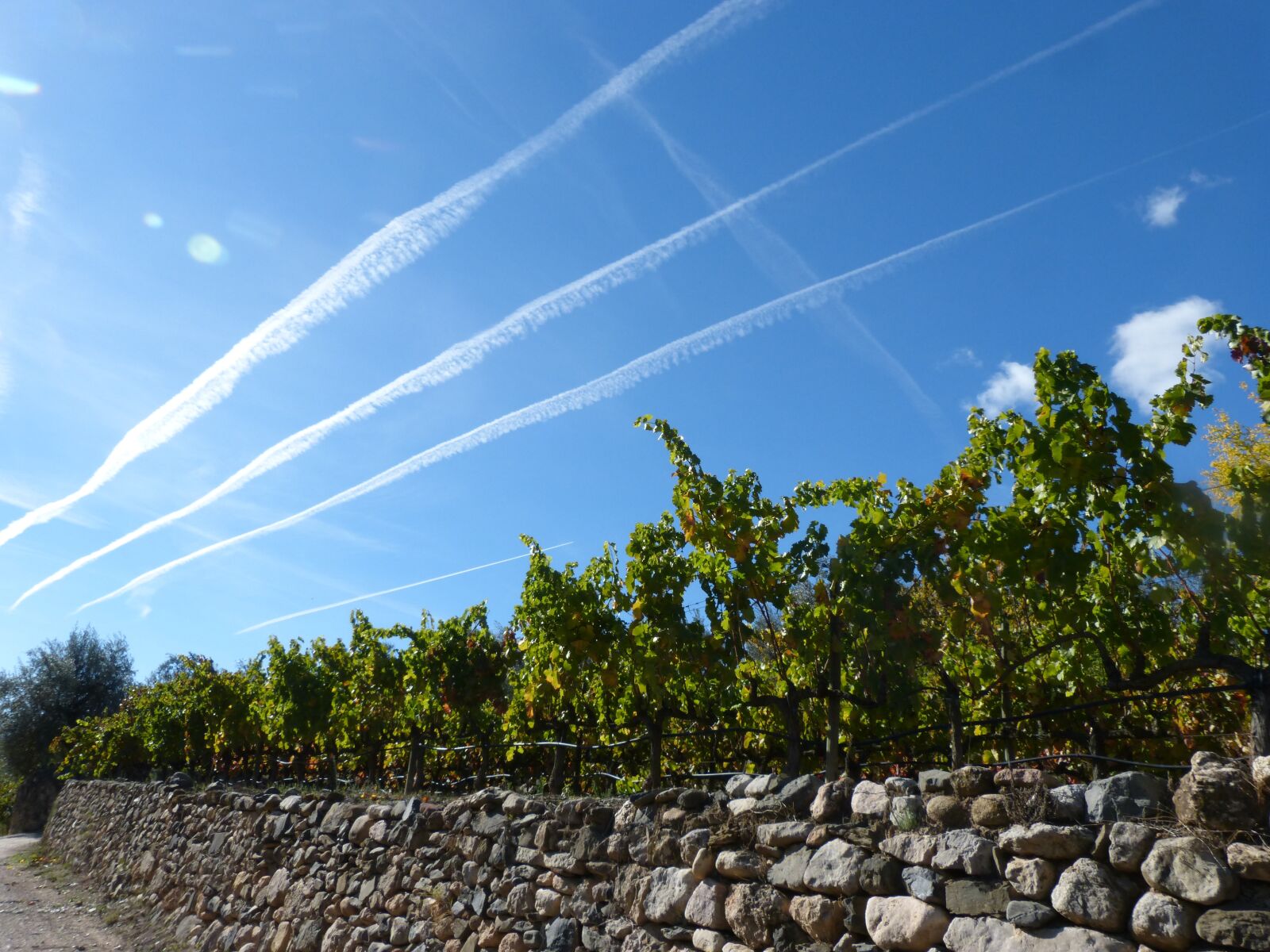 Panasonic DMC-FZ62 sample photo. Sky, vineyard, wall photography