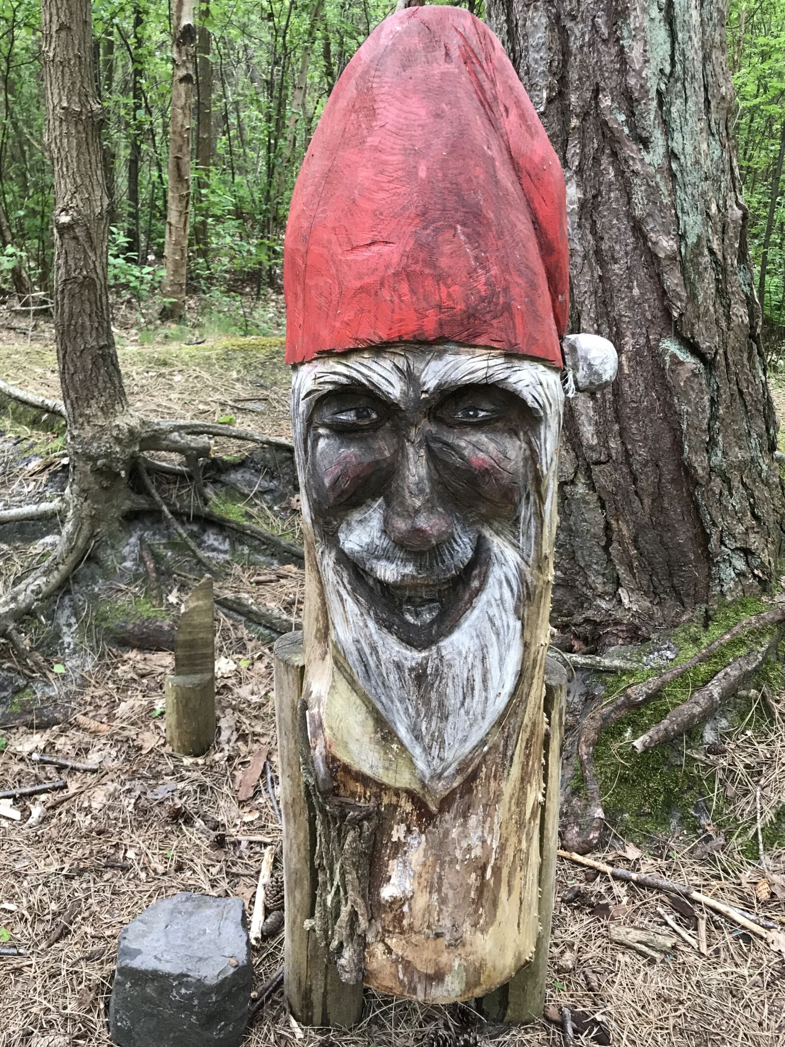 iPhone 7 Plus back dual camera 3.99mm f/1.8 sample photo. Tree stump, nicholas, nature photography