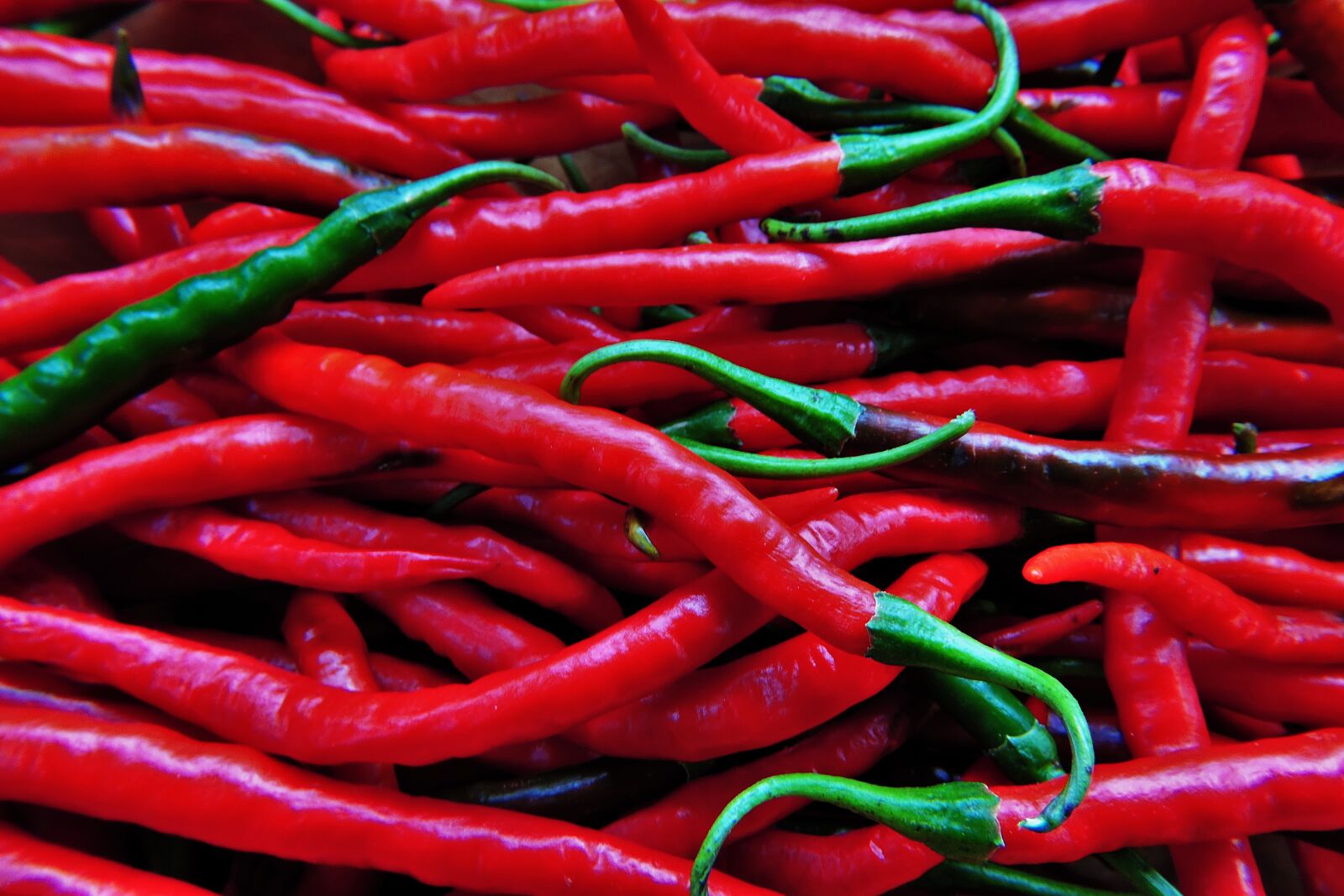 Nikon Coolpix P600 sample photo. Peppers, red, chili photography