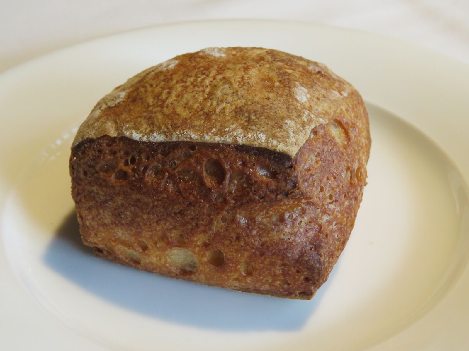 Canon PowerShot SX60 HS sample photo. Bun, food, meal photography