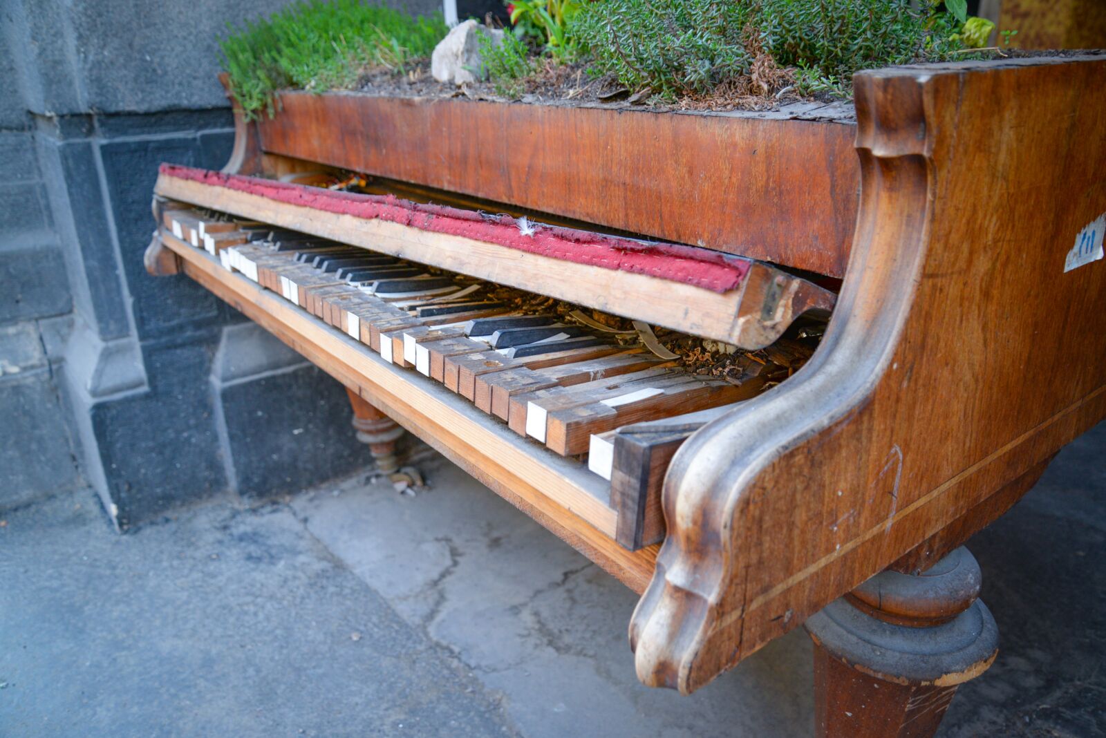 Nikon D610 sample photo. Piano, broken, music photography