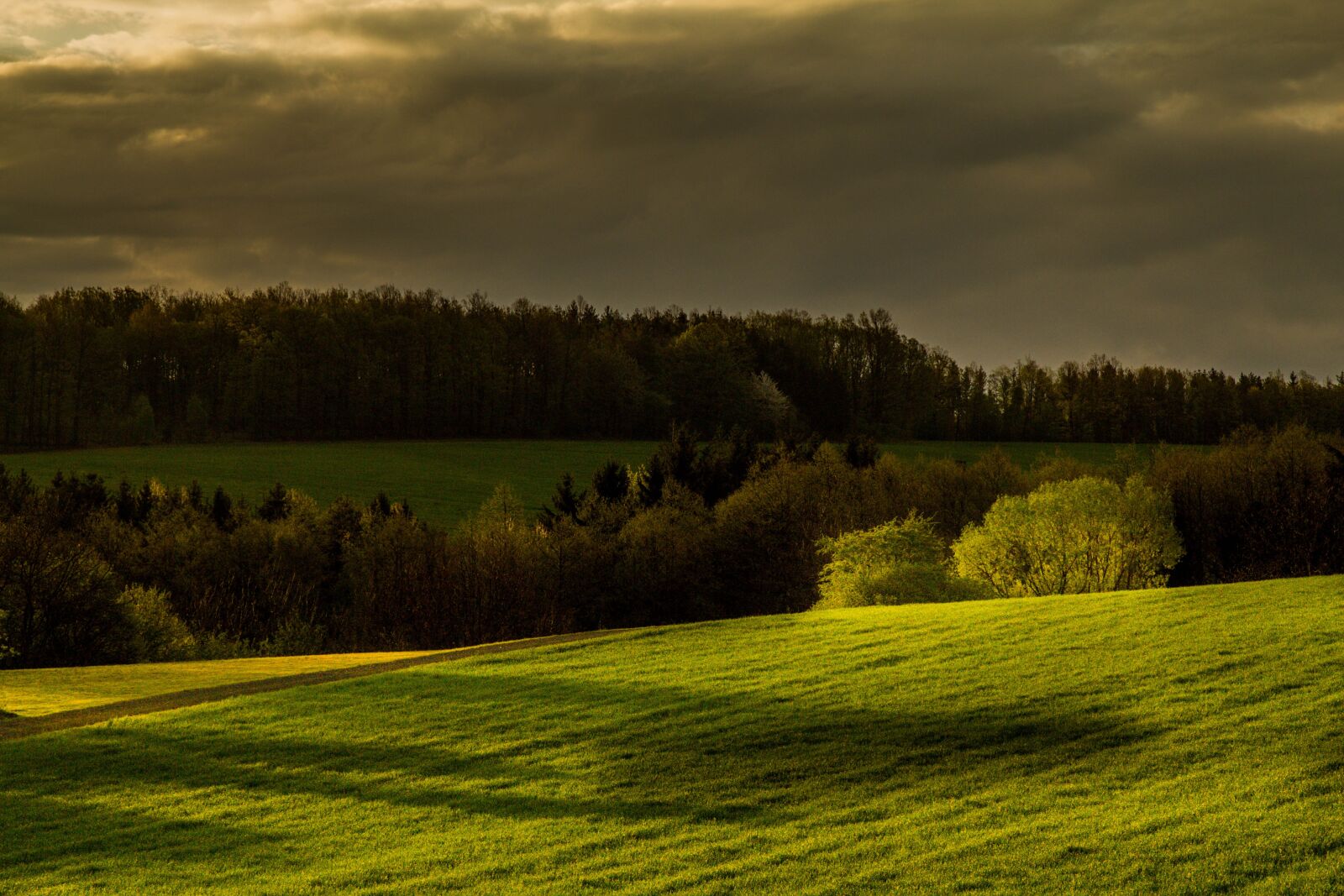 Canon EOS 60D sample photo. Morning sun, gloomy, landscape photography