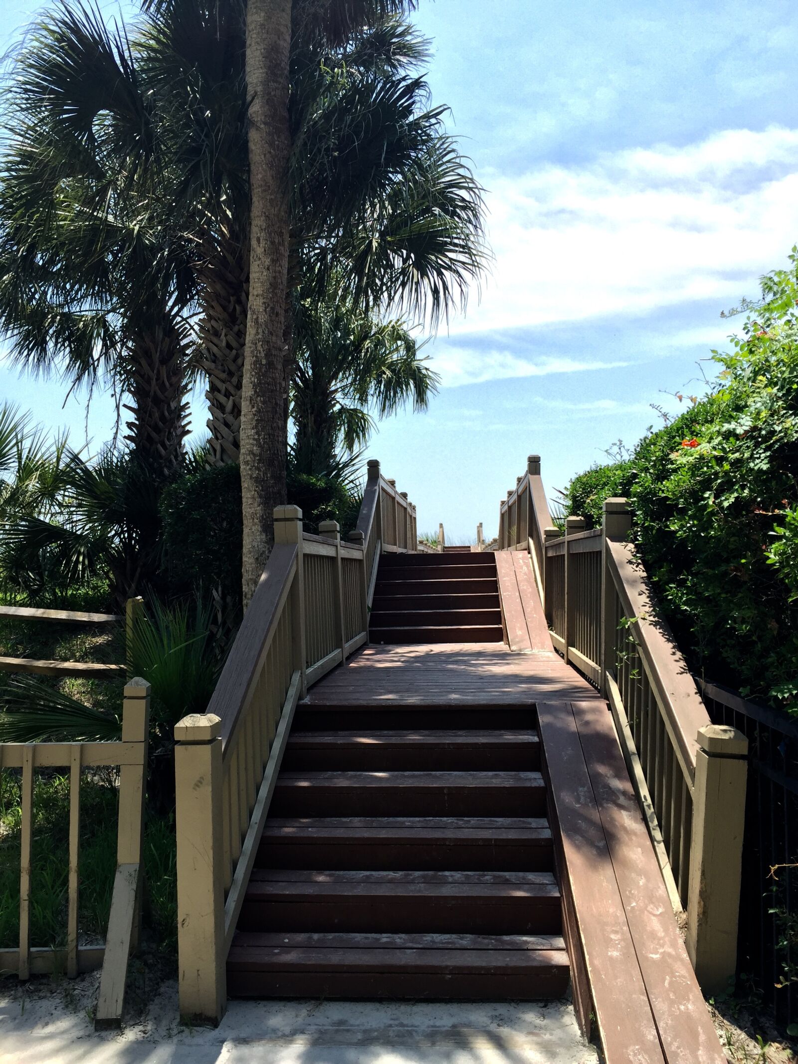 Apple iPhone 6 sample photo. Stairs, boardwalk, palm tree photography
