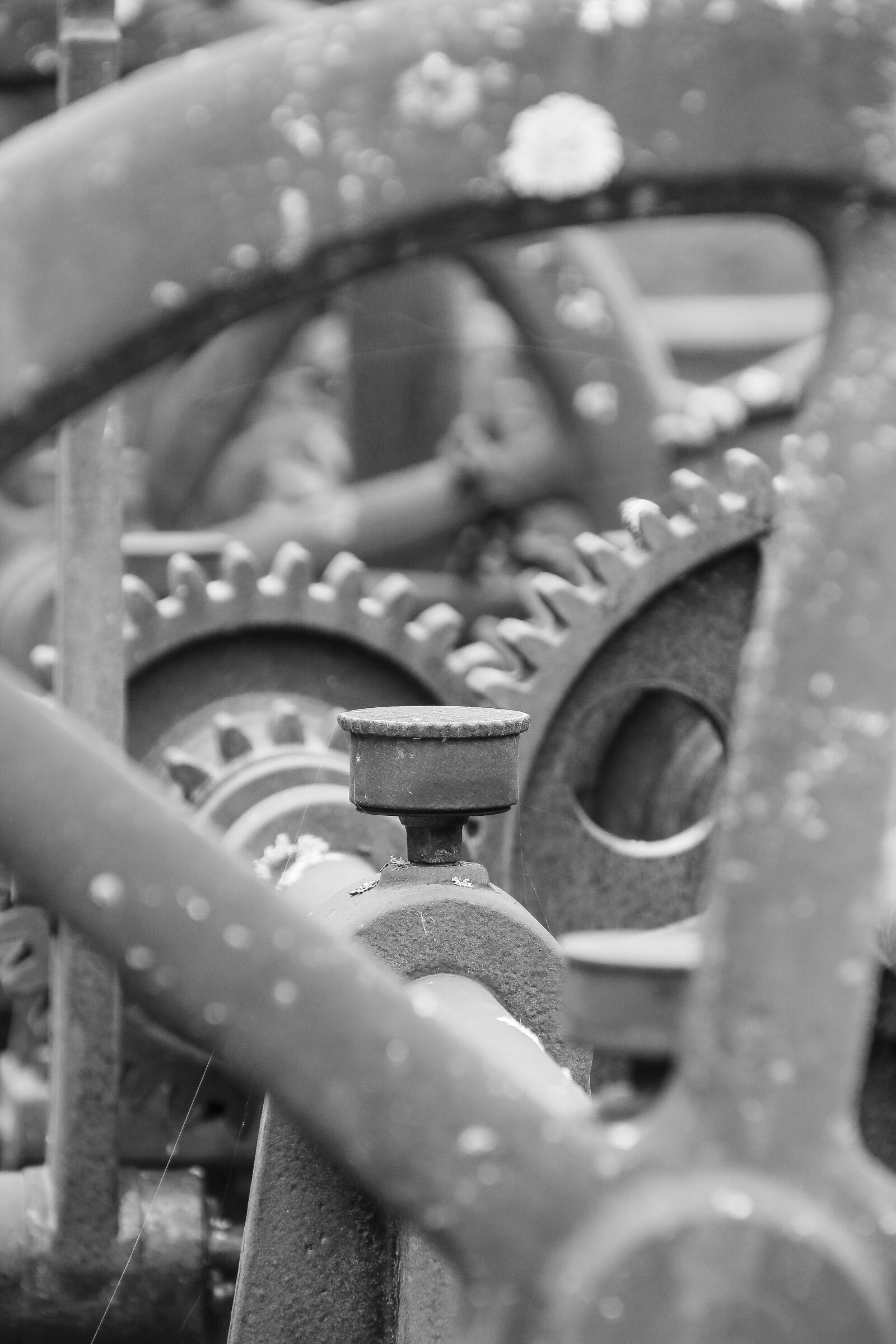 Canon EOS 70D sample photo. Gear, machinery, mechanism photography