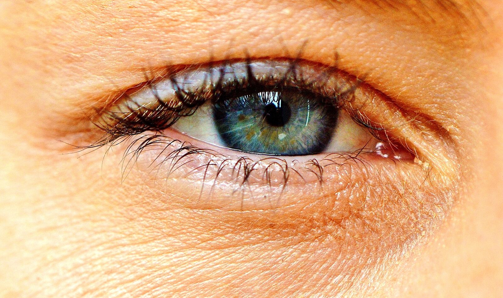 Nikon D3200 sample photo. Eye, blue, grey photography