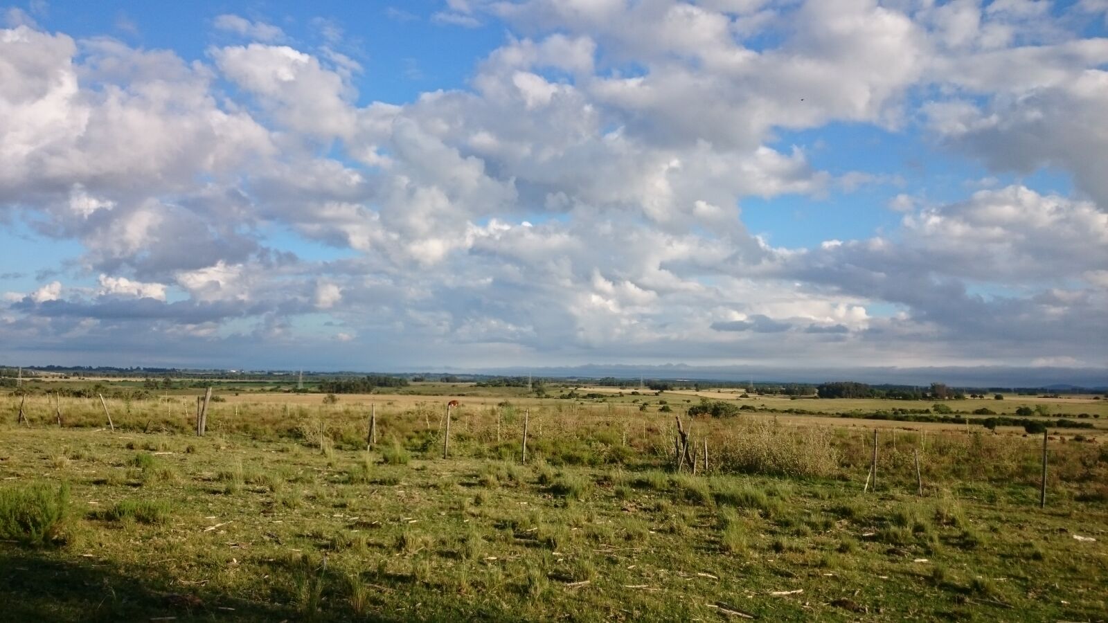 Sony Xperia Z1 sample photo. Cloudy, sky, farm, mothernature photography