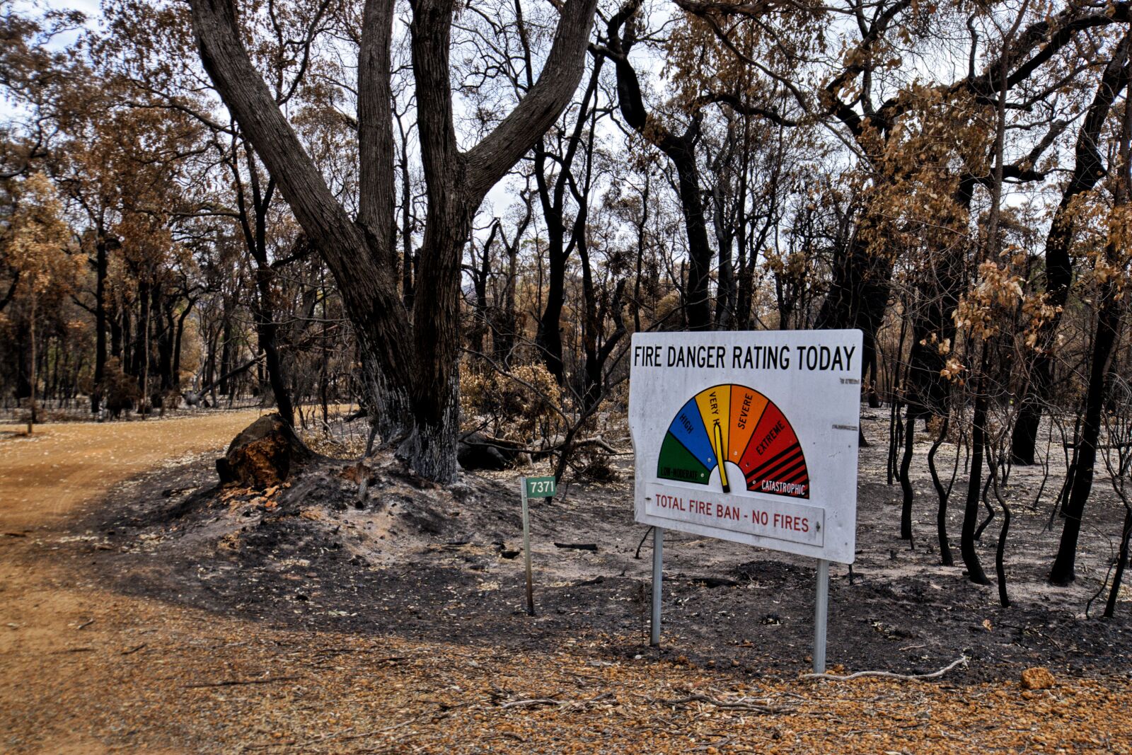 Nikon D3300 sample photo. Bushfire, sign, burnt photography