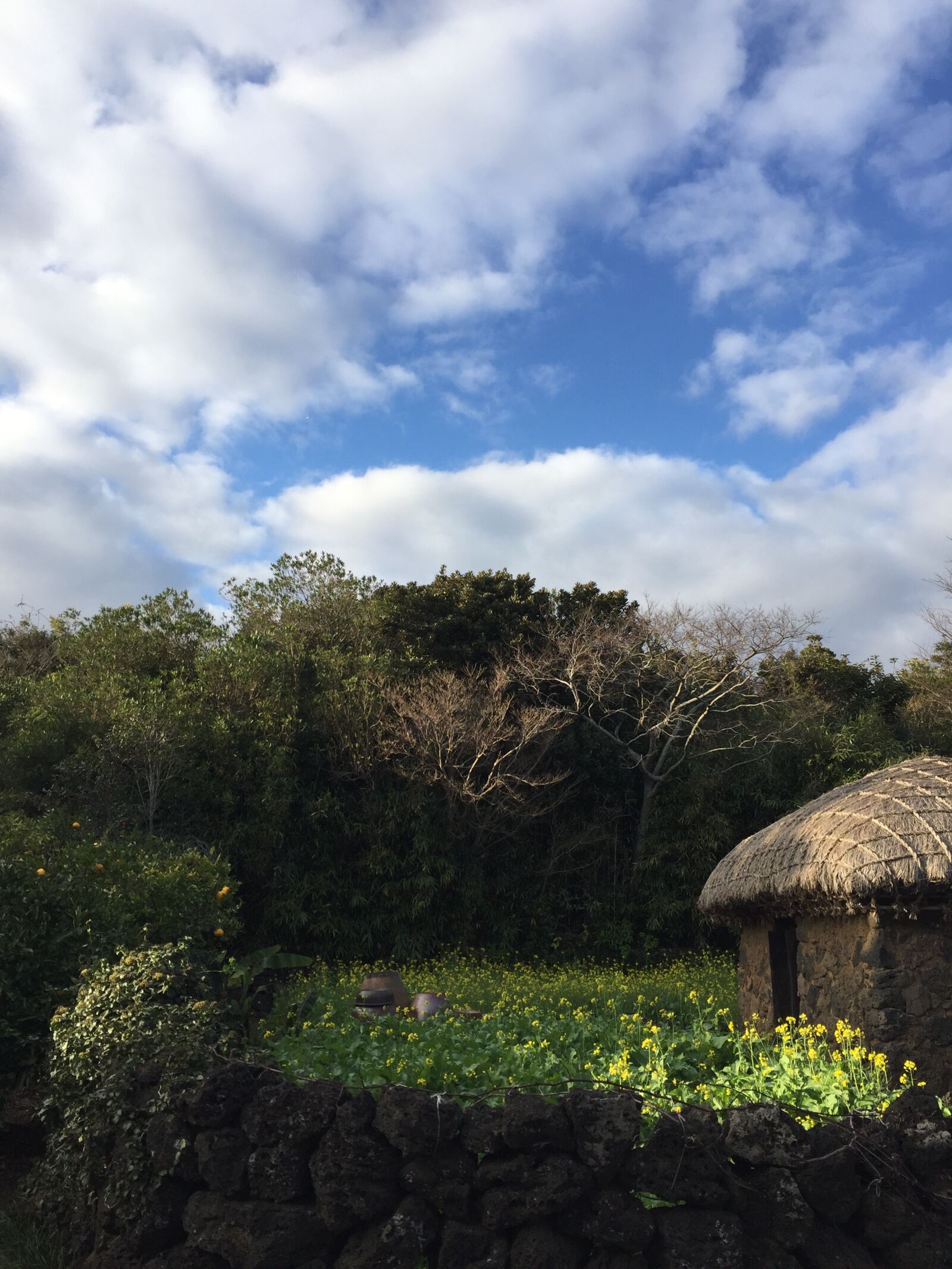 iPhone 6 back camera 4.15mm f/2.2 sample photo. Sky, cloud, nature photography