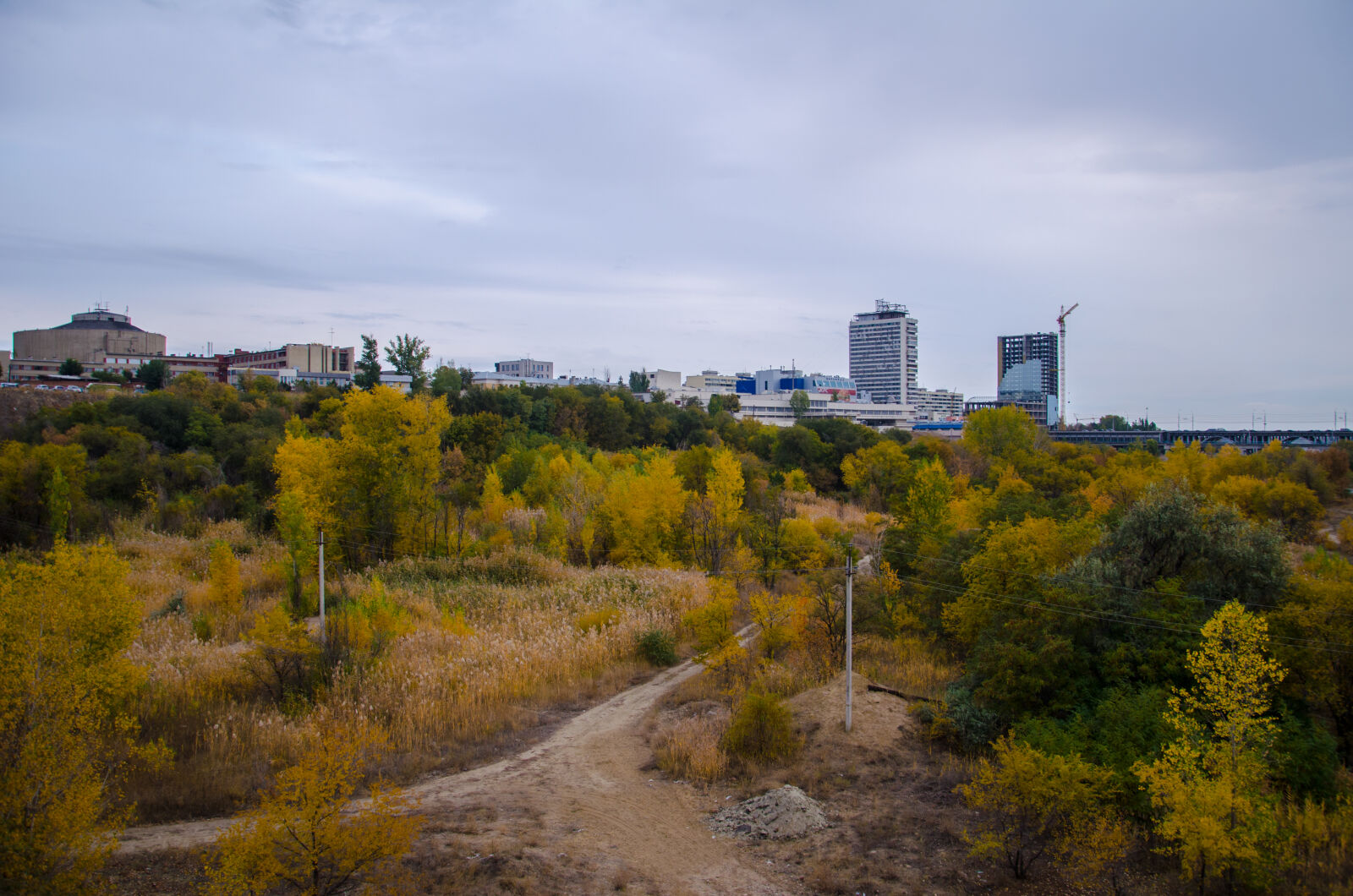 Nikon D5100 sample photo