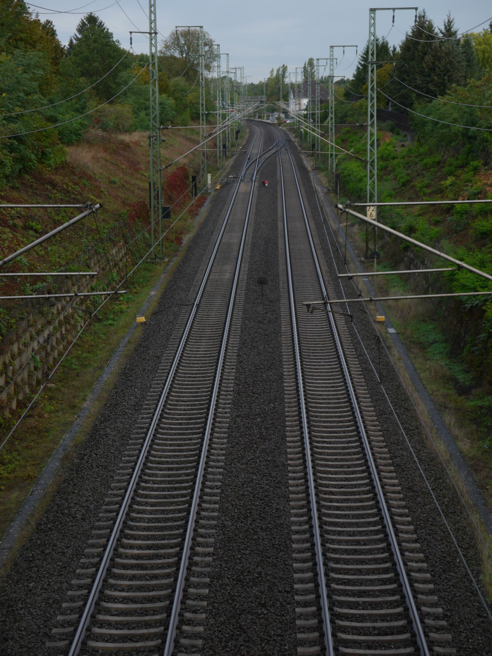 Panasonic Lumix DMC-G6 sample photo. Railway, rails, plant photography