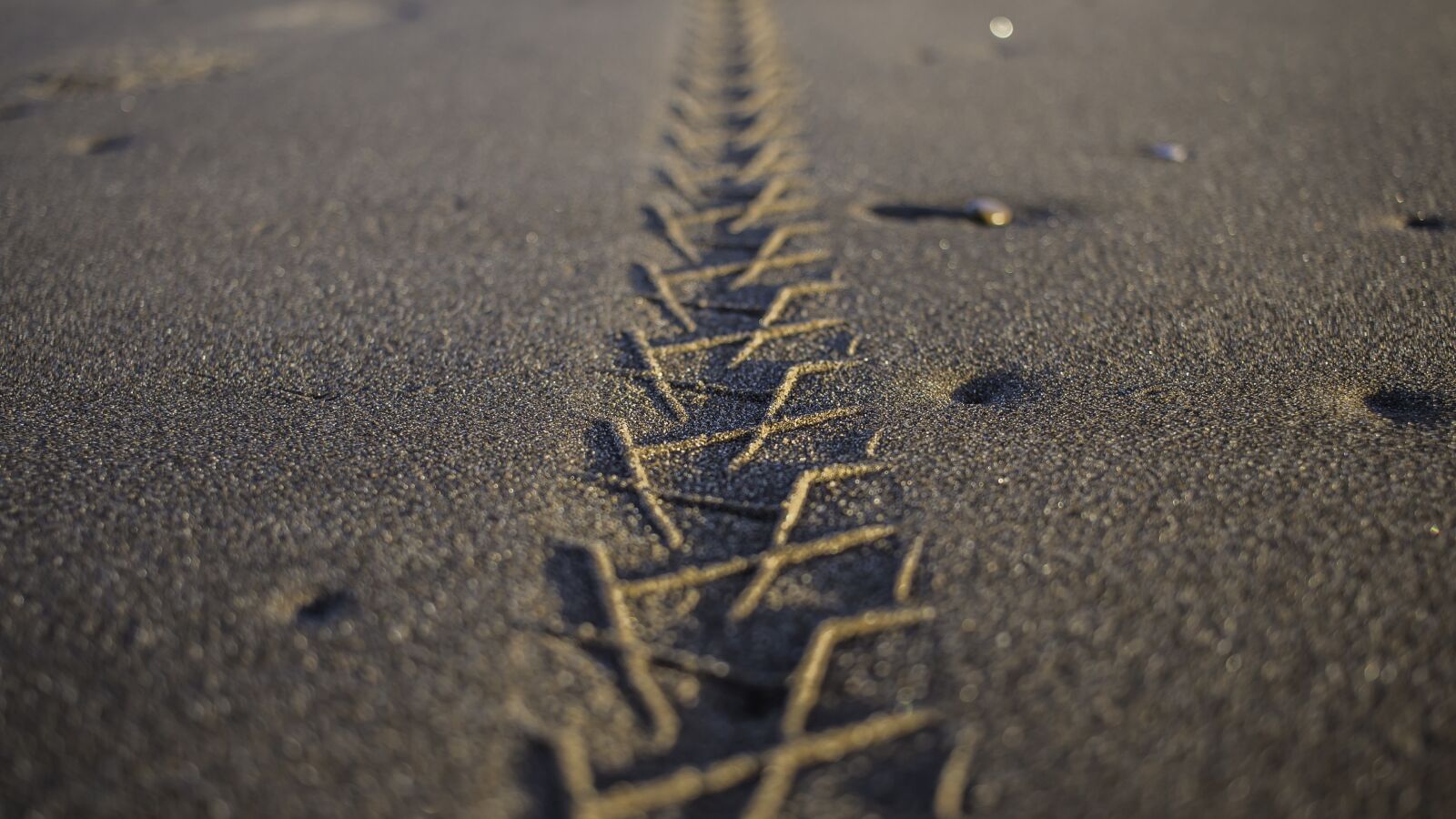 Canon EF-S 24mm F2.8 STM sample photo. Footprints, beach, sea photography